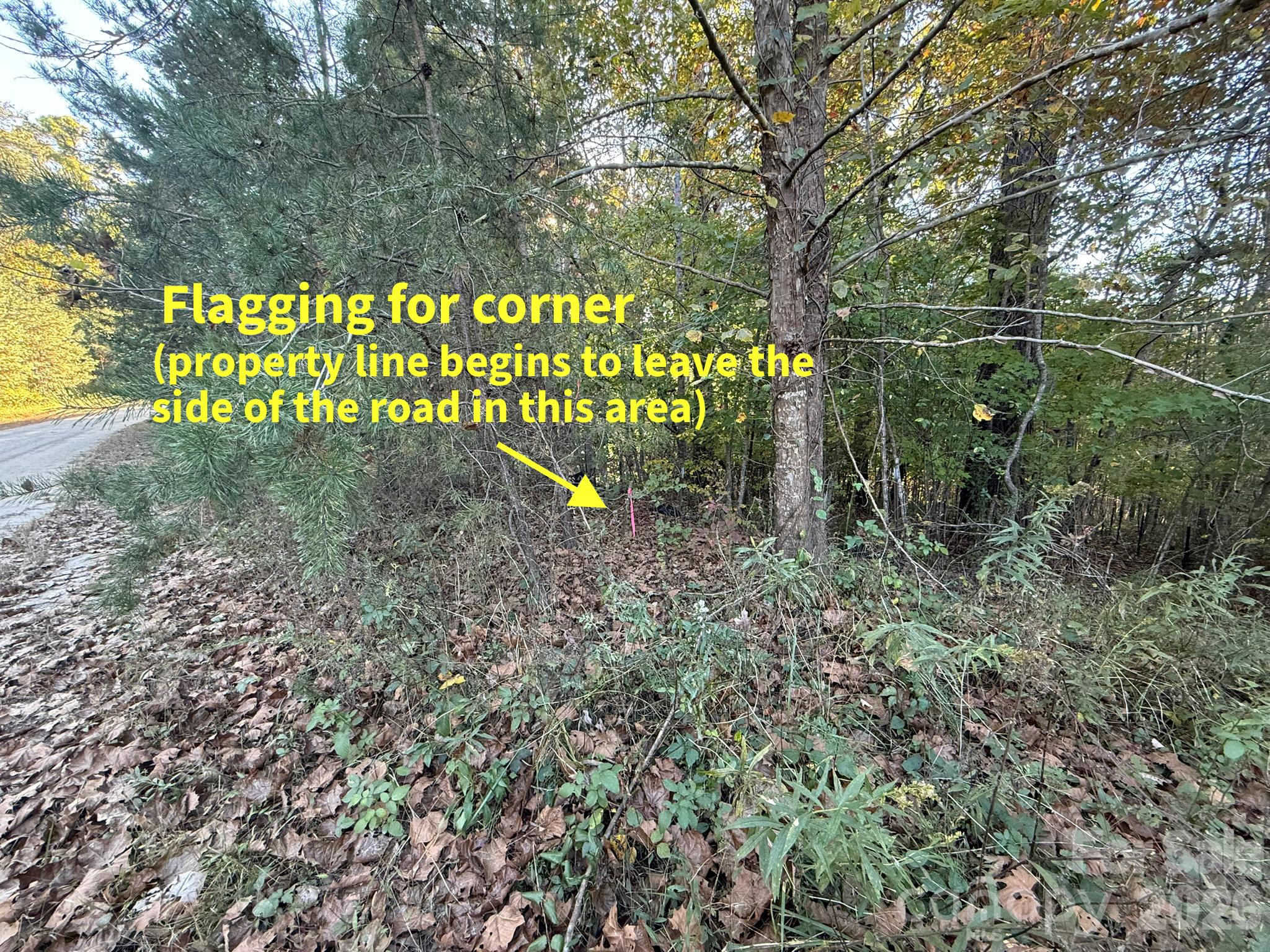 V/l Wild Ridges Lane Property Photo 29