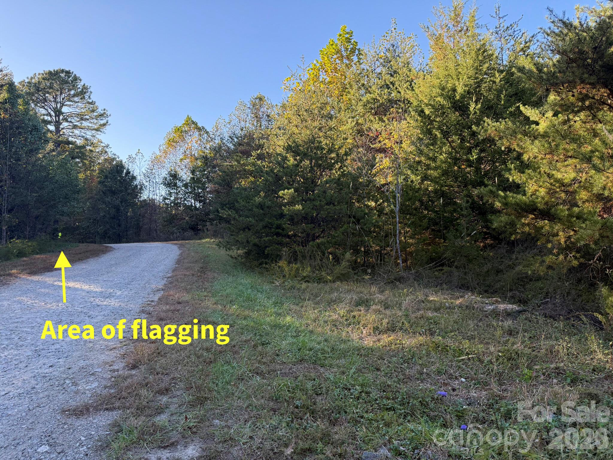 V/l Wild Ridges Lane Property Photo 30