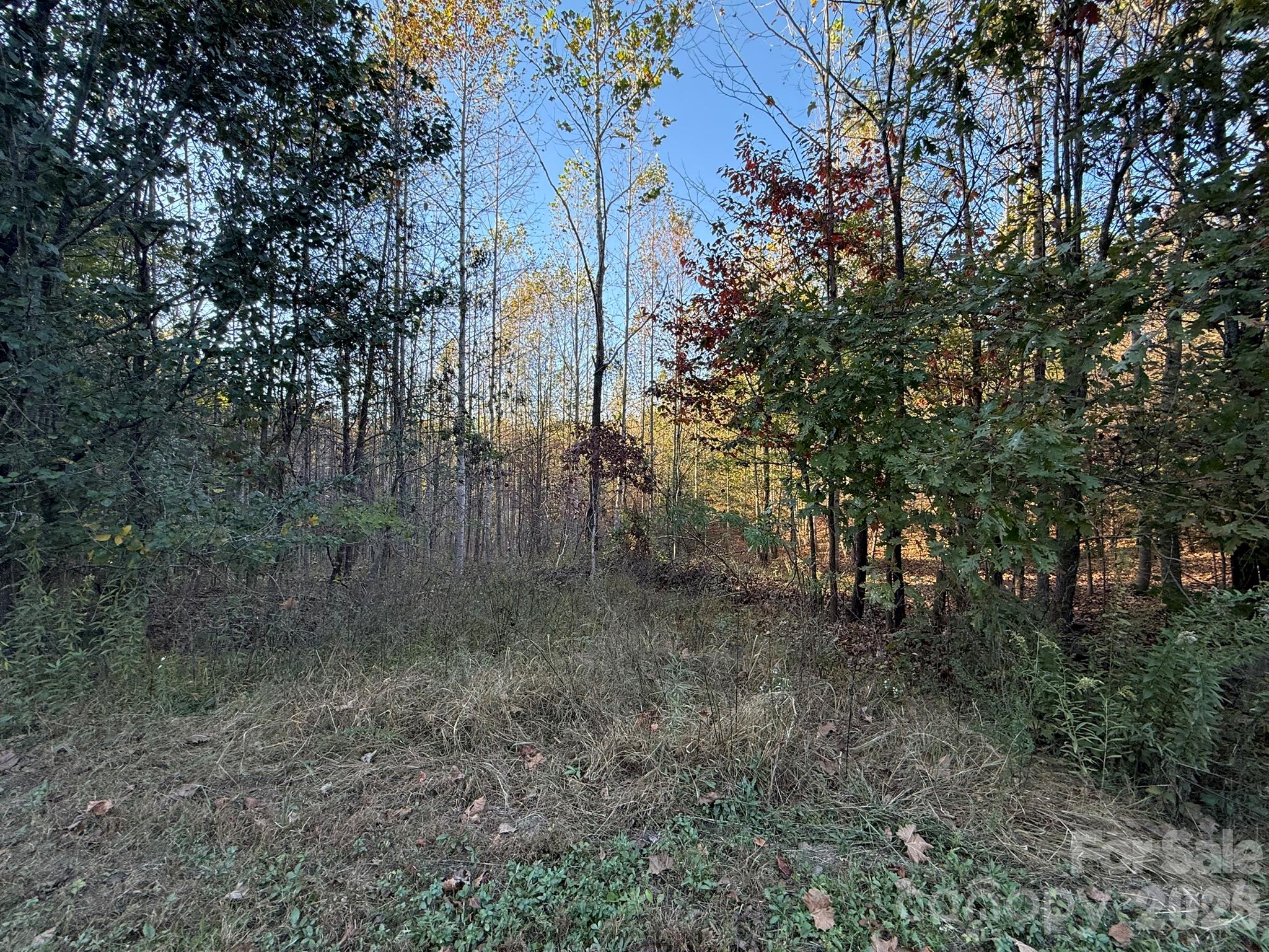 V/l Wild Ridges Lane Property Photo 31