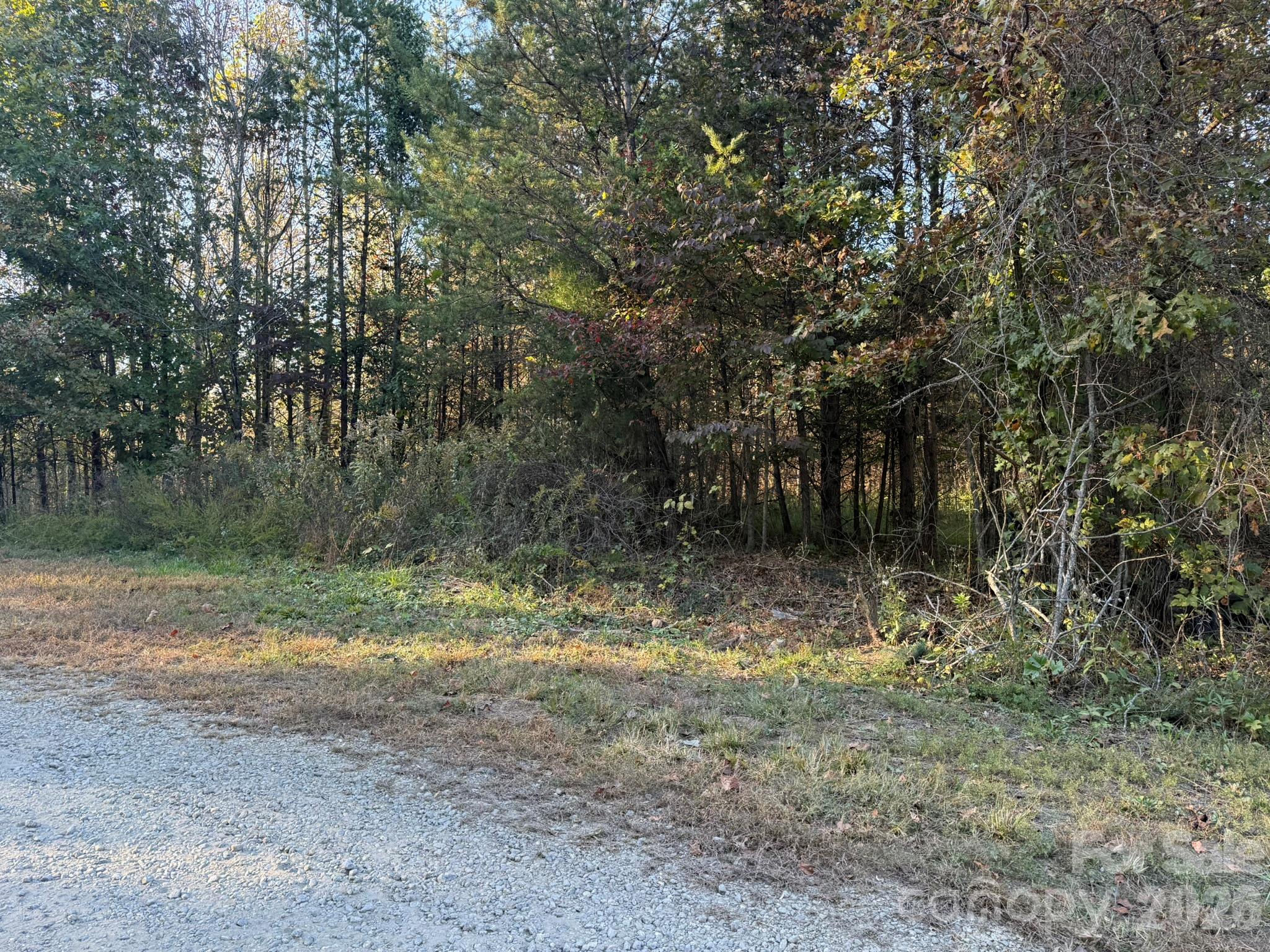 V/l Wild Ridges Lane Property Photo 32