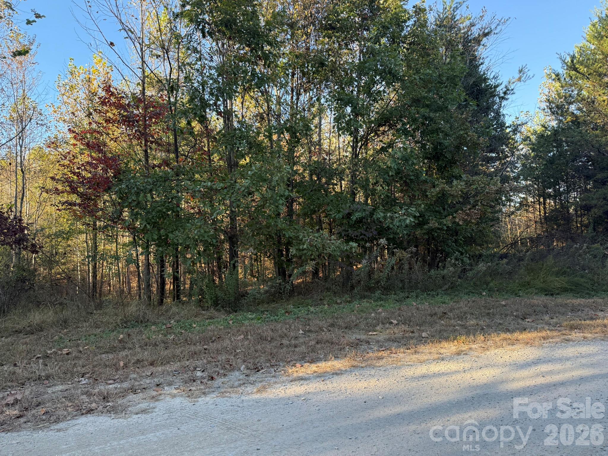 V/l Wild Ridges Lane Property Photo 33