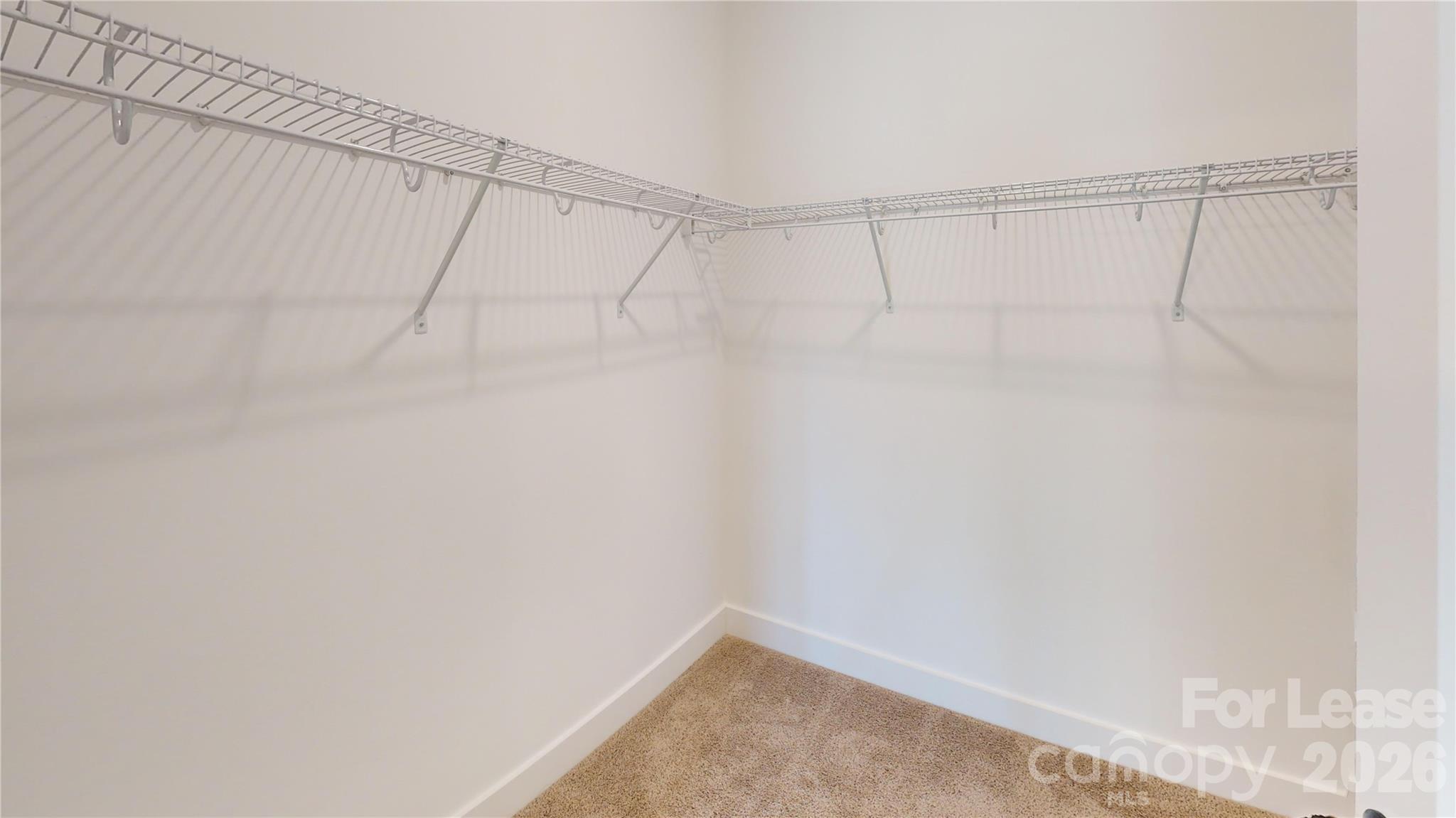 409 Devender Lane Property Photo 28