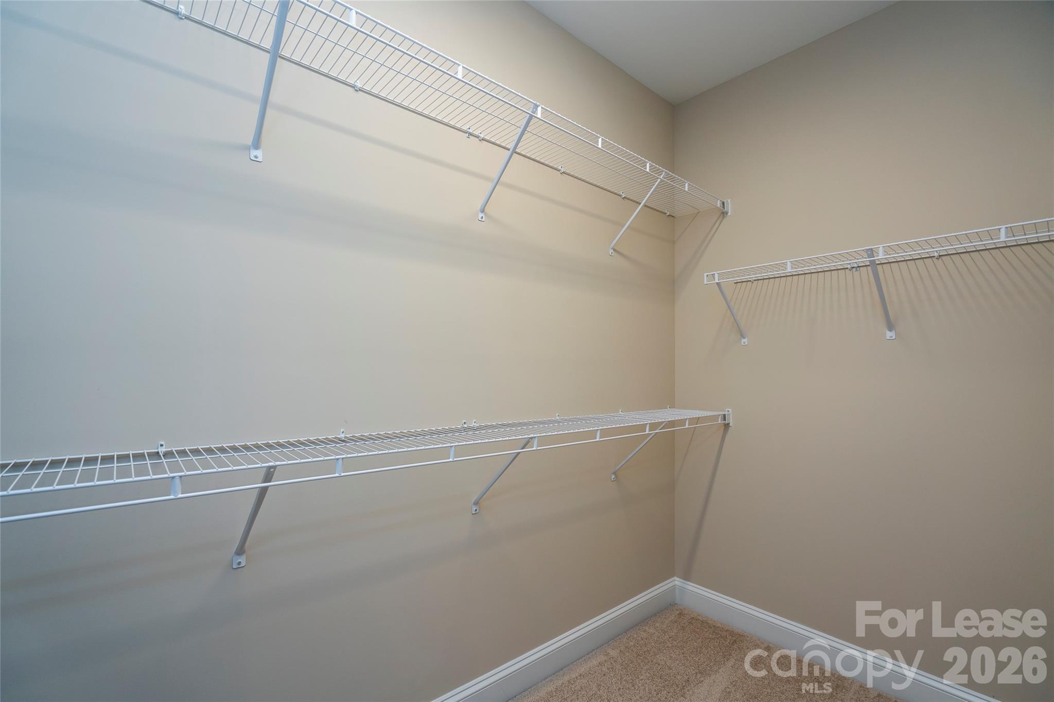 3004 Buffet Lane Property Photo 20