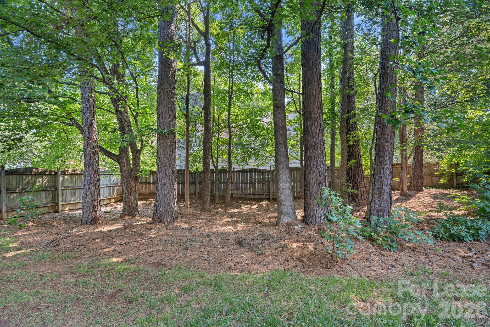 2428 Tarleton Twins Road Property Photo 37