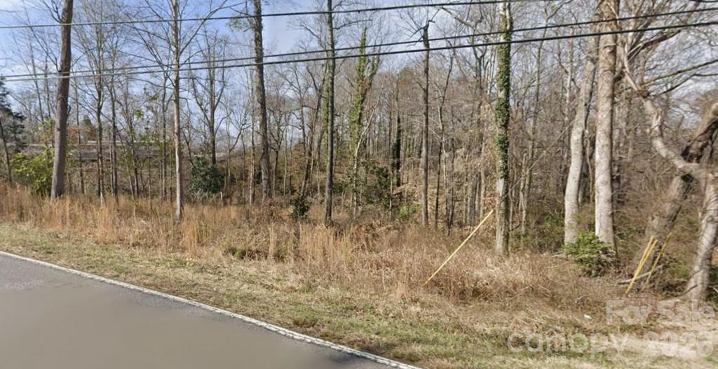 405 Catawba Street Property Photo 1