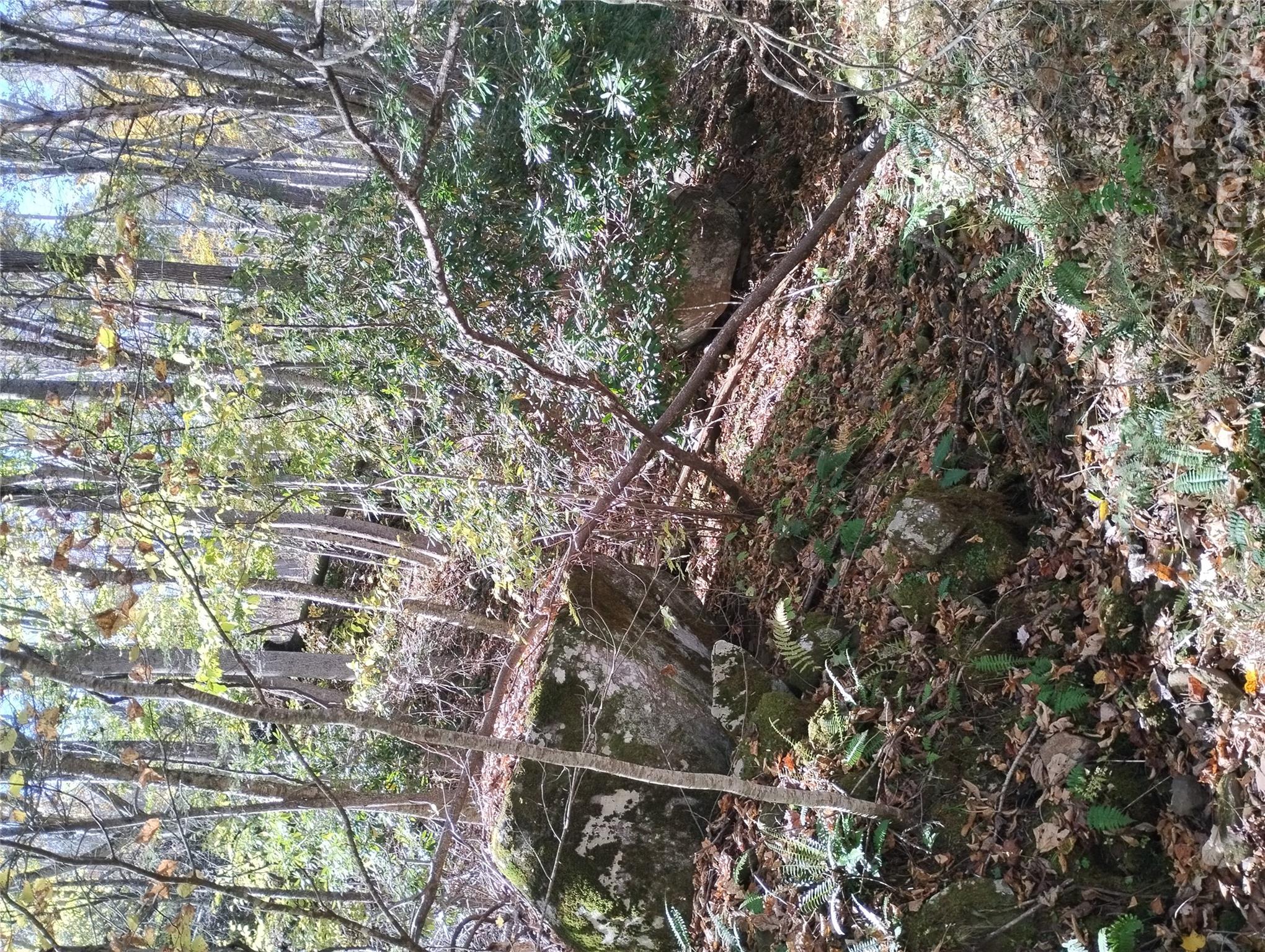 000 Dora Lane Property Photo 3