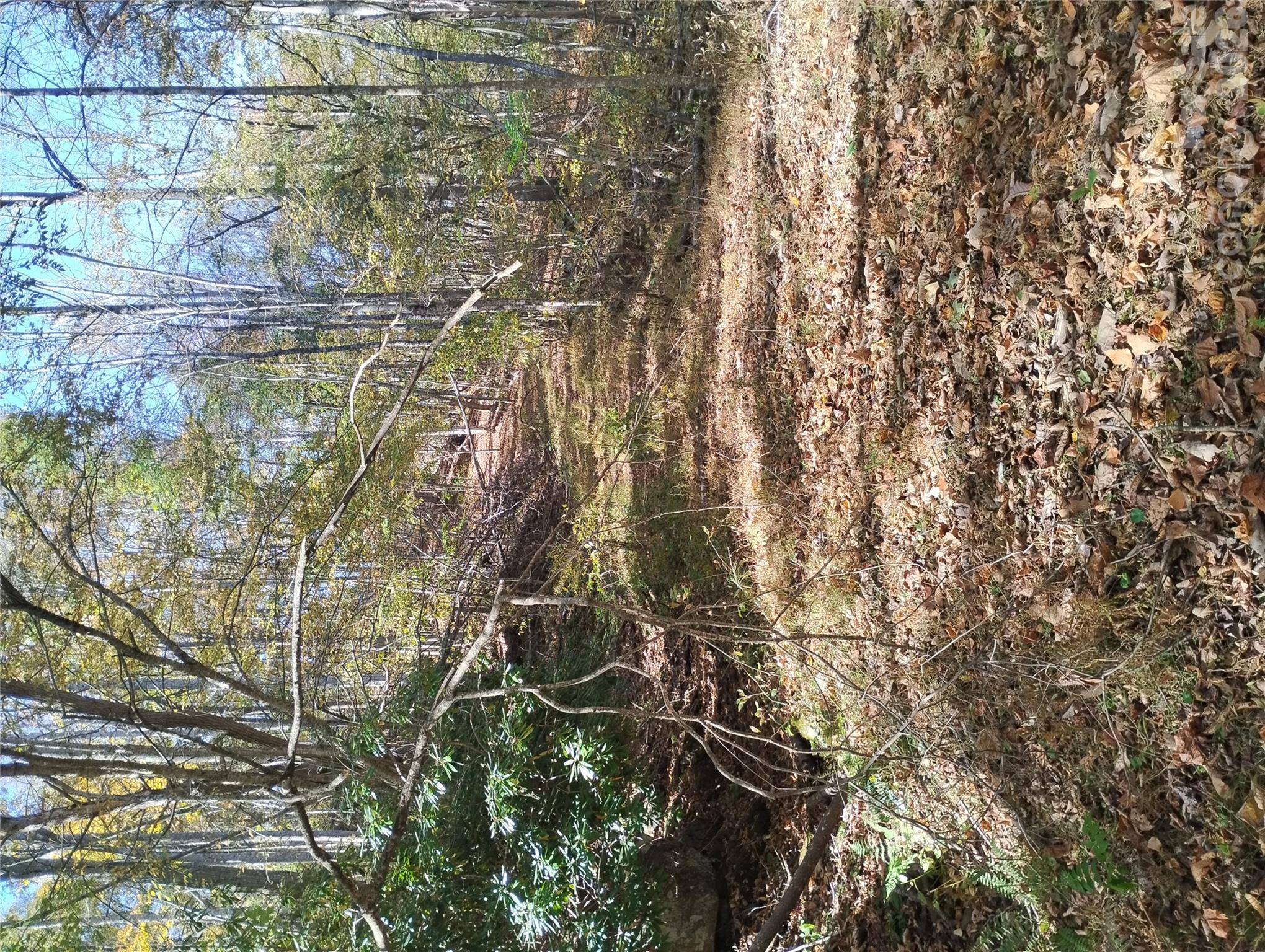 000 Dora Lane Property Photo 5