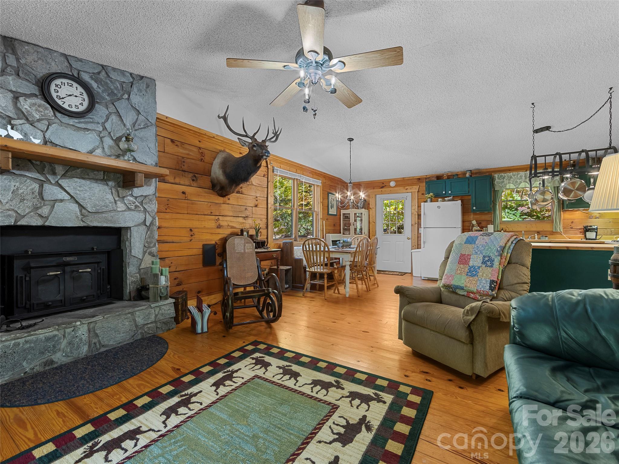 716 Wolf Laurel Drive Property Photo 4