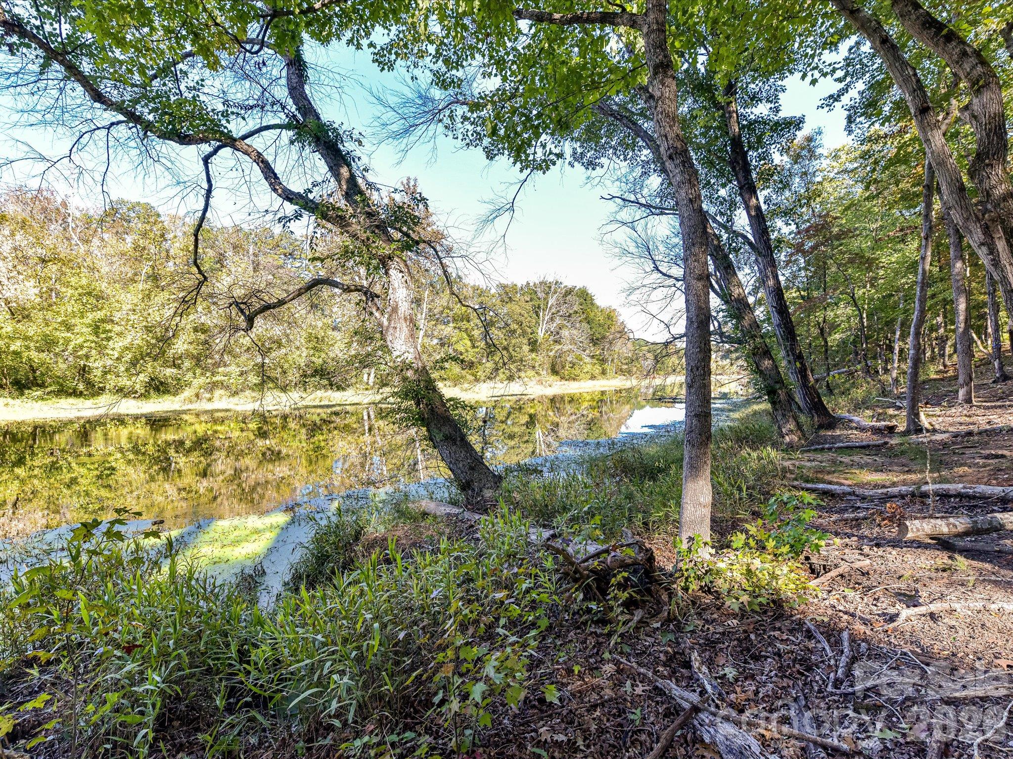 1614 Medlin Road Property Photo 10