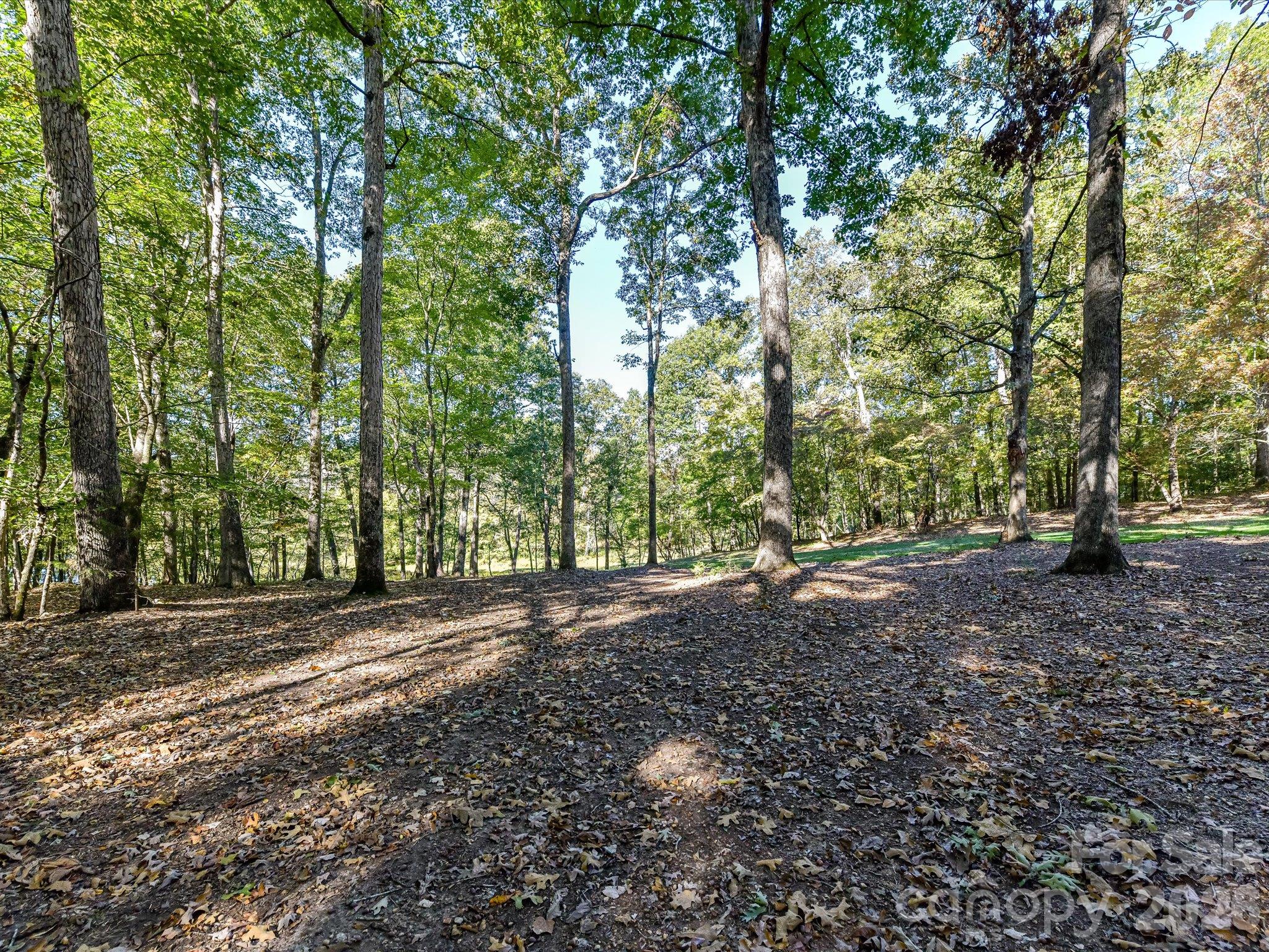 1614 Medlin Road Property Photo 12