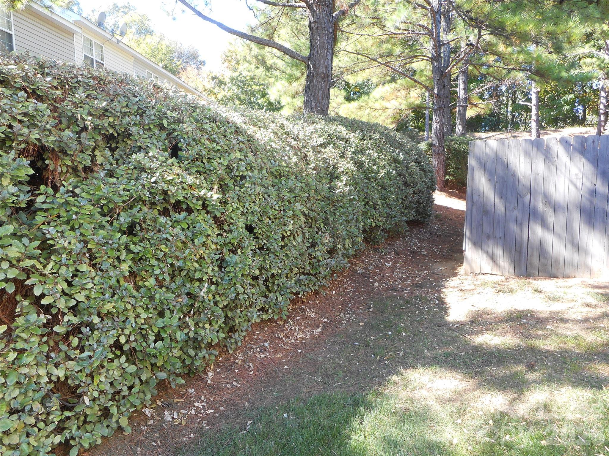 1726 Forest Side Lane Property Photo 4