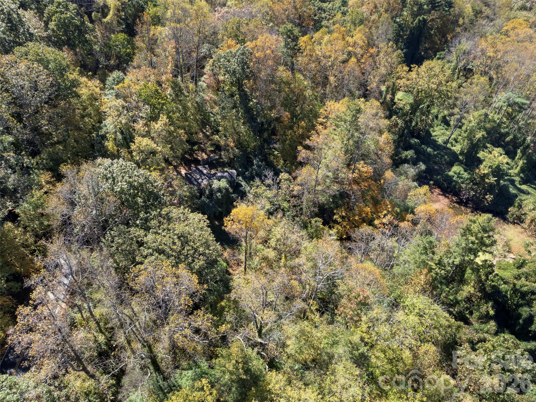 11 Cedar Mountain Road Property Photo 4