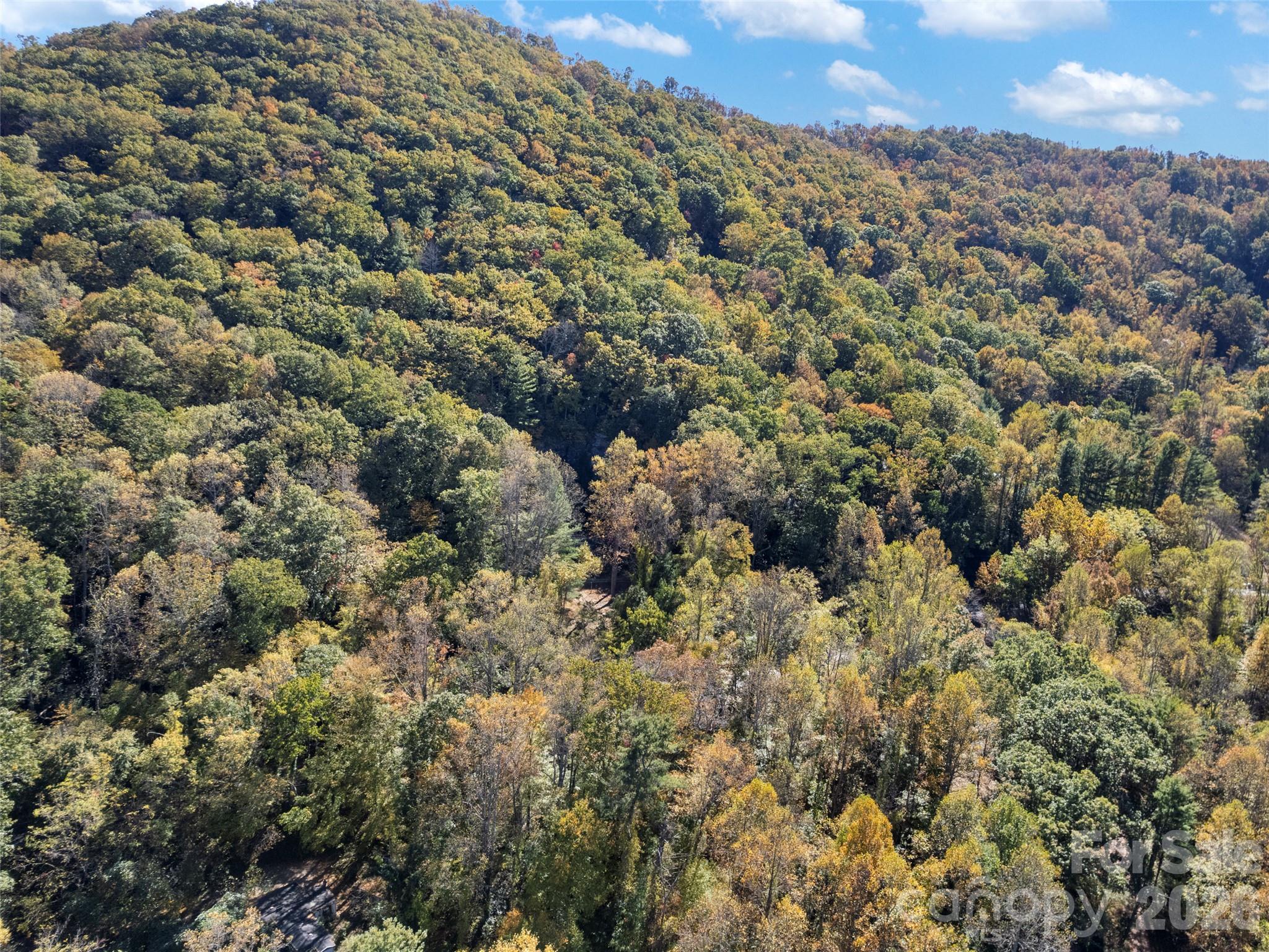 11 Cedar Mountain Road Property Photo 5