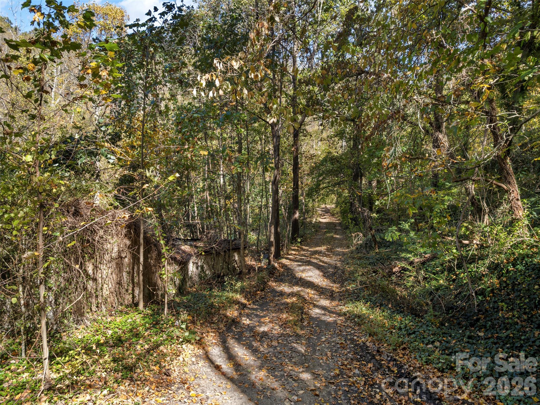 11 Cedar Mountain Road Property Photo 9