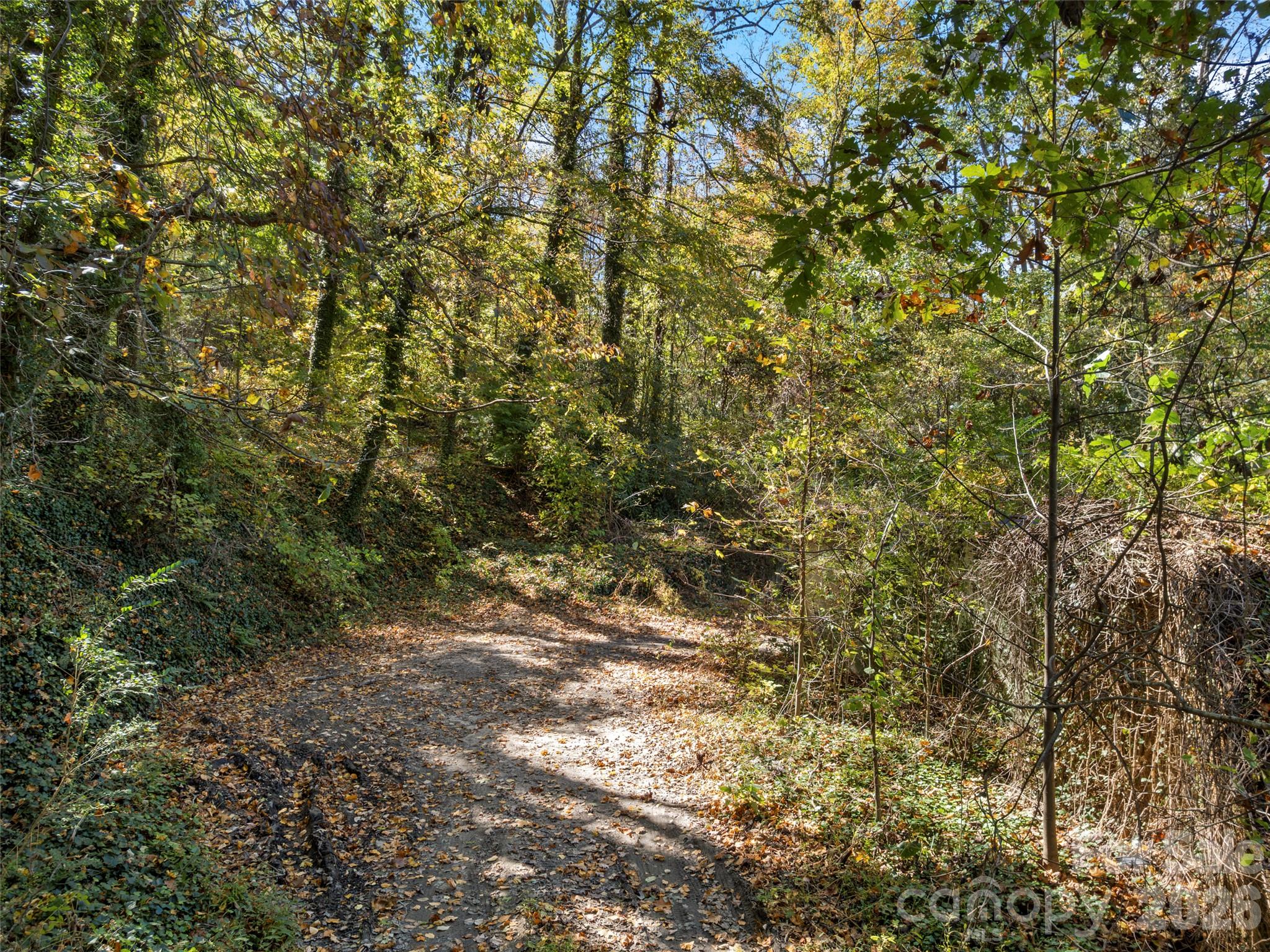11 Cedar Mountain Road Property Photo 10