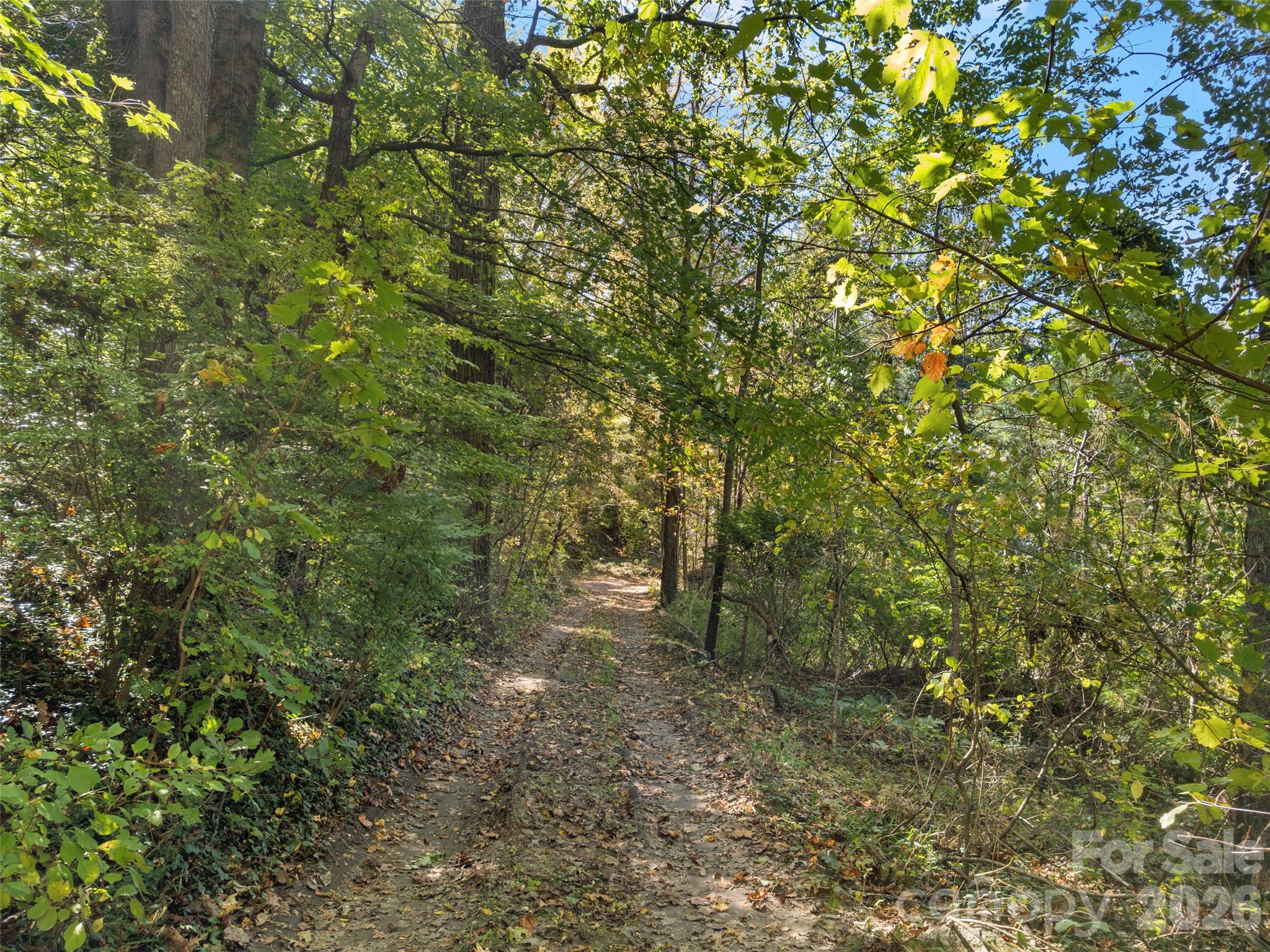 11 Cedar Mountain Road Property Photo 12
