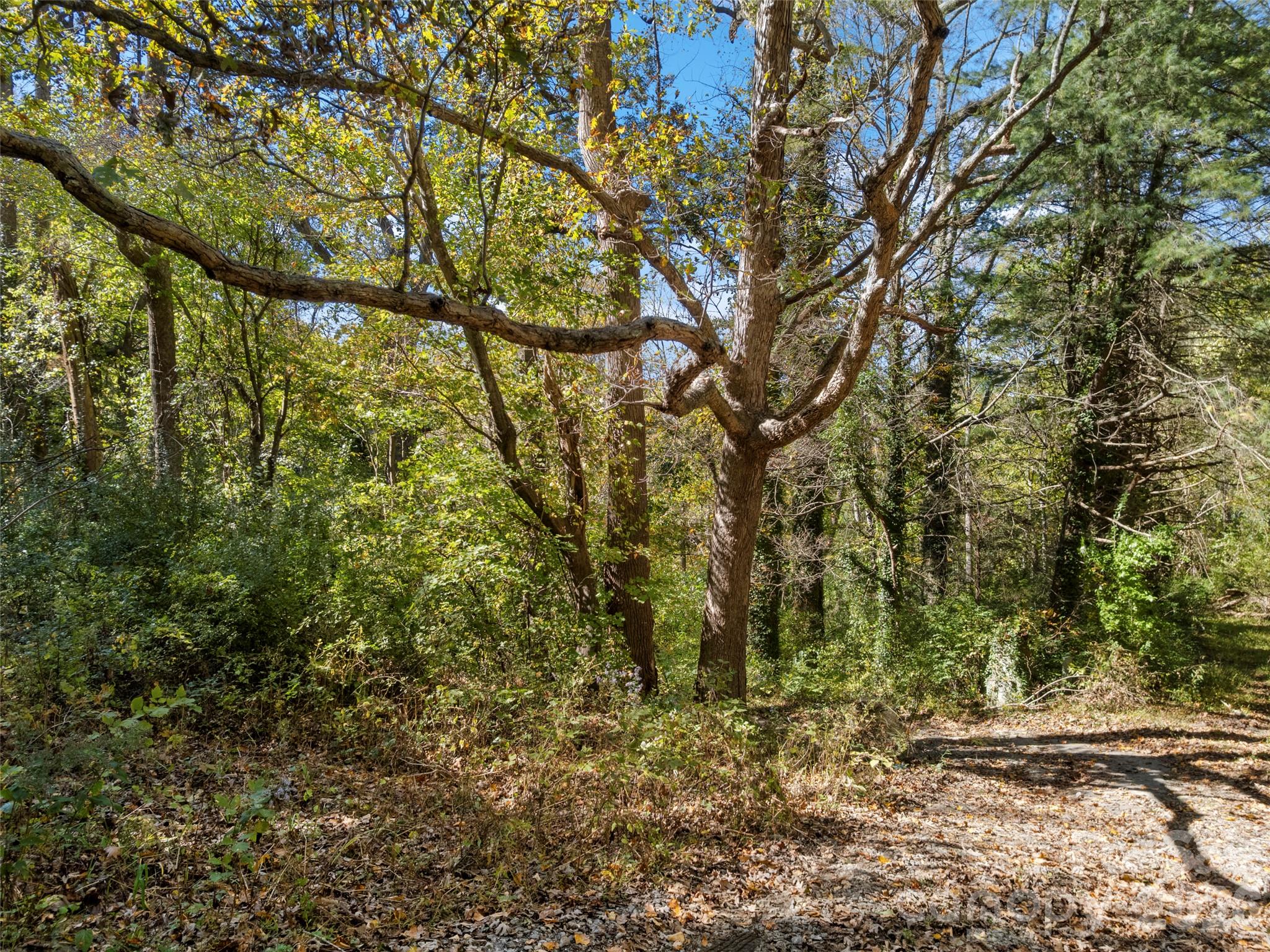11 Cedar Mountain Road Property Photo 13