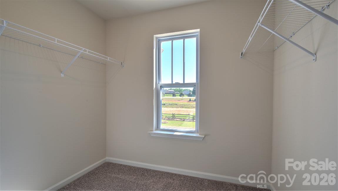 248 Lauren Lane Property Photo 18