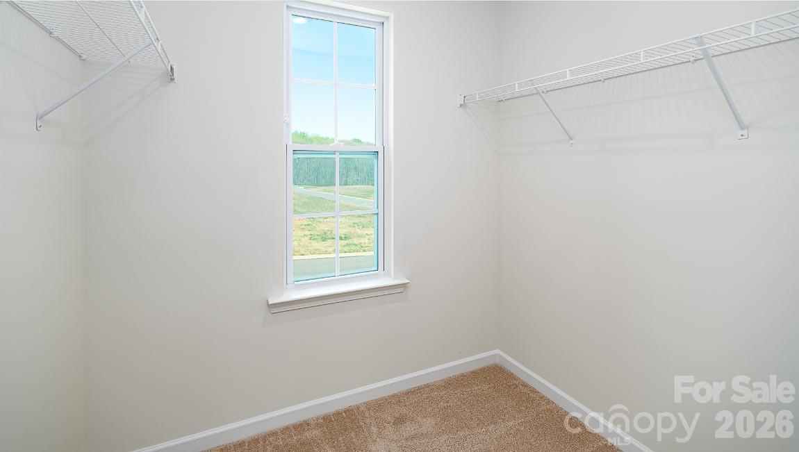 242 Lauren Lane Property Photo 15
