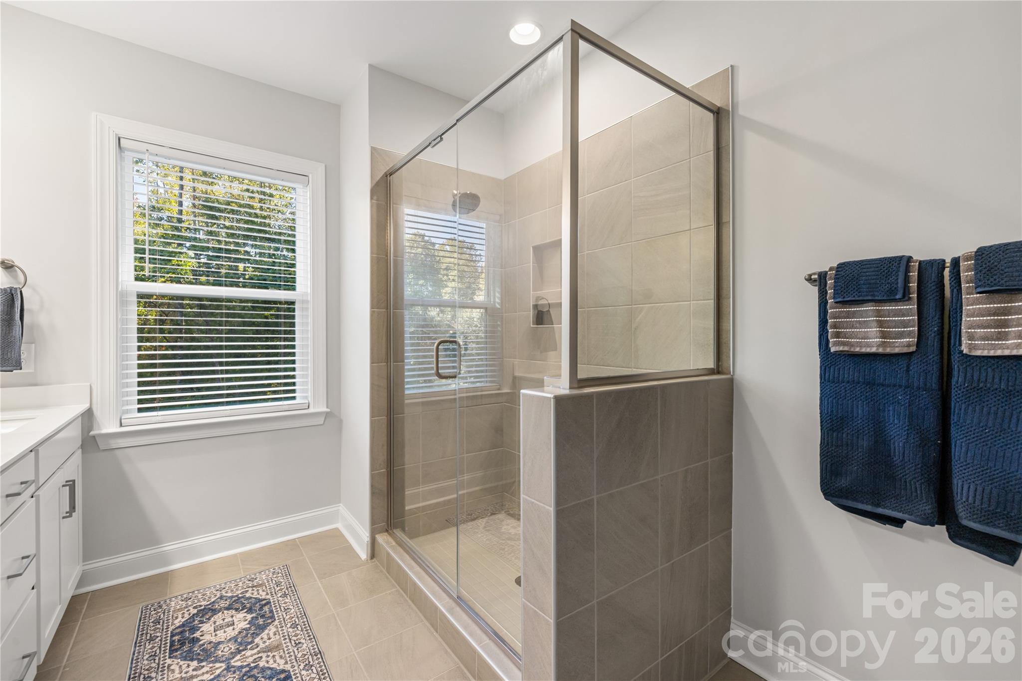 10611 Audubon Ridge Drive Property Photo 20