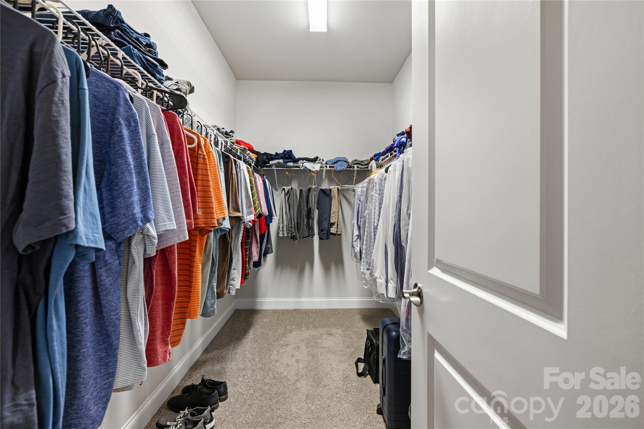 10611 Audubon Ridge Drive Property Photo 22