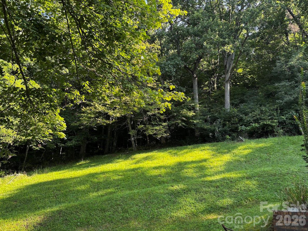 3575 Cane Creek Road Property Photo 2