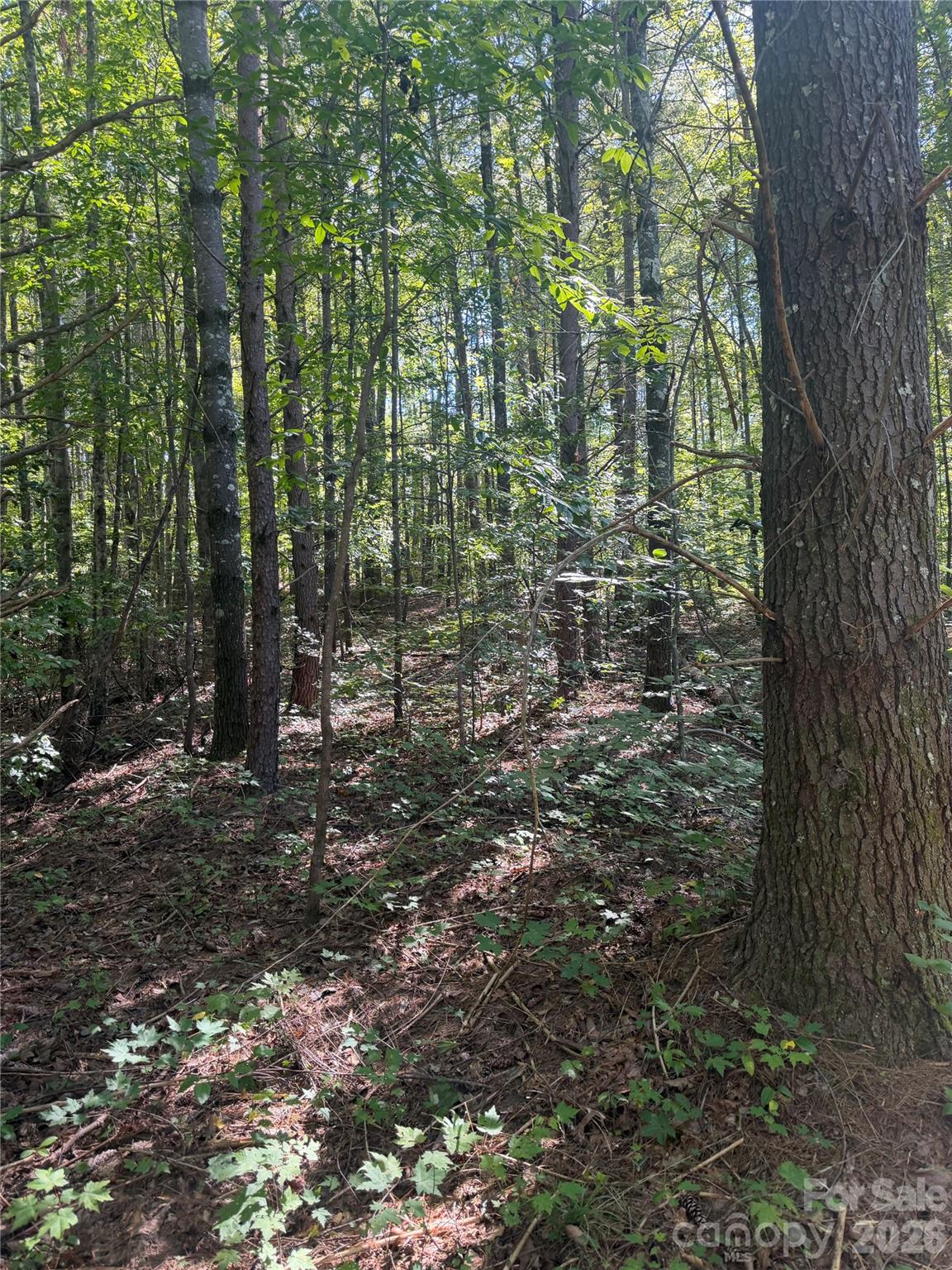 1202 Old Neal Road 1 Property Photo 3
