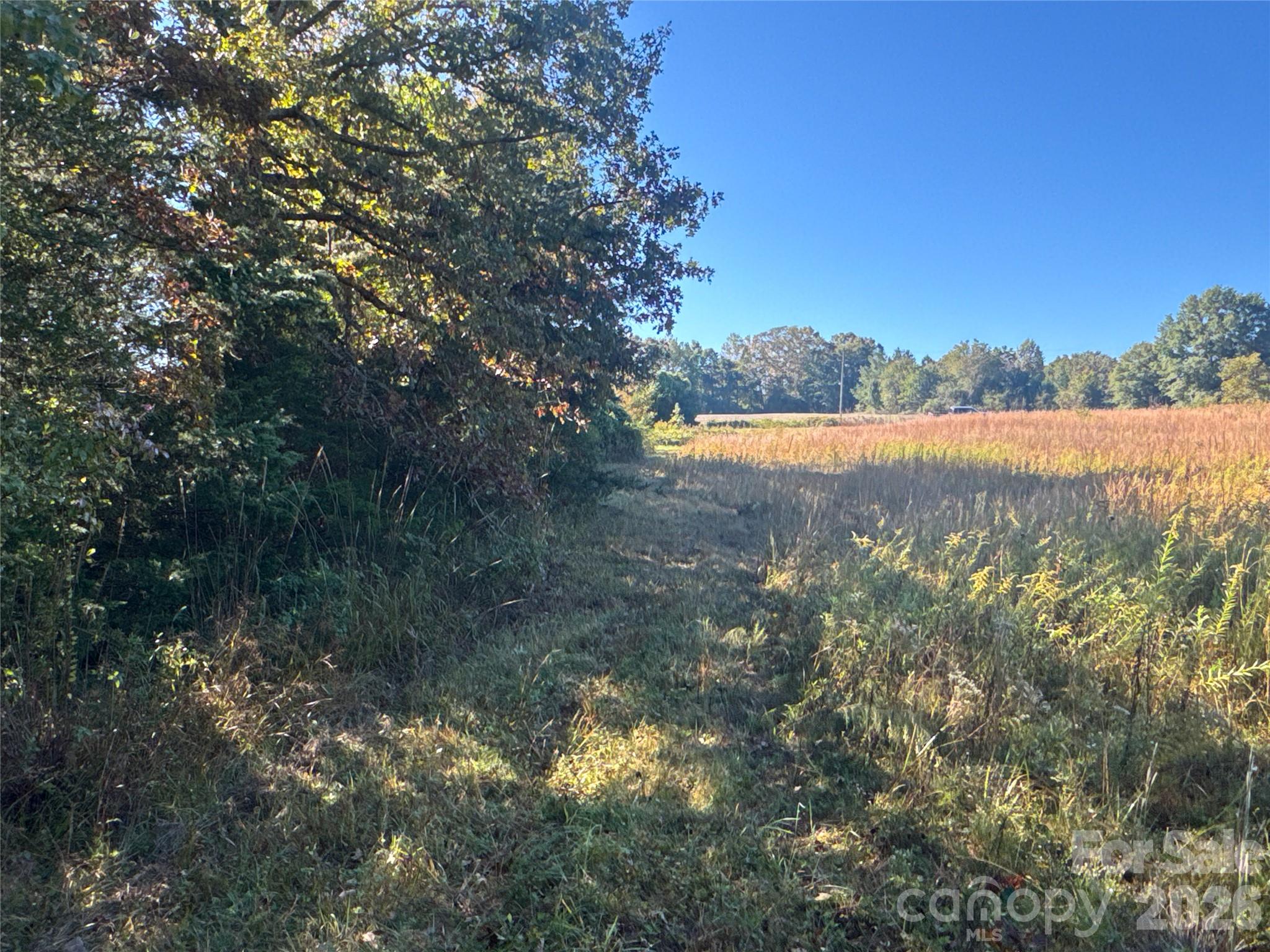 3515 Campfield Church Road Property Photo 8