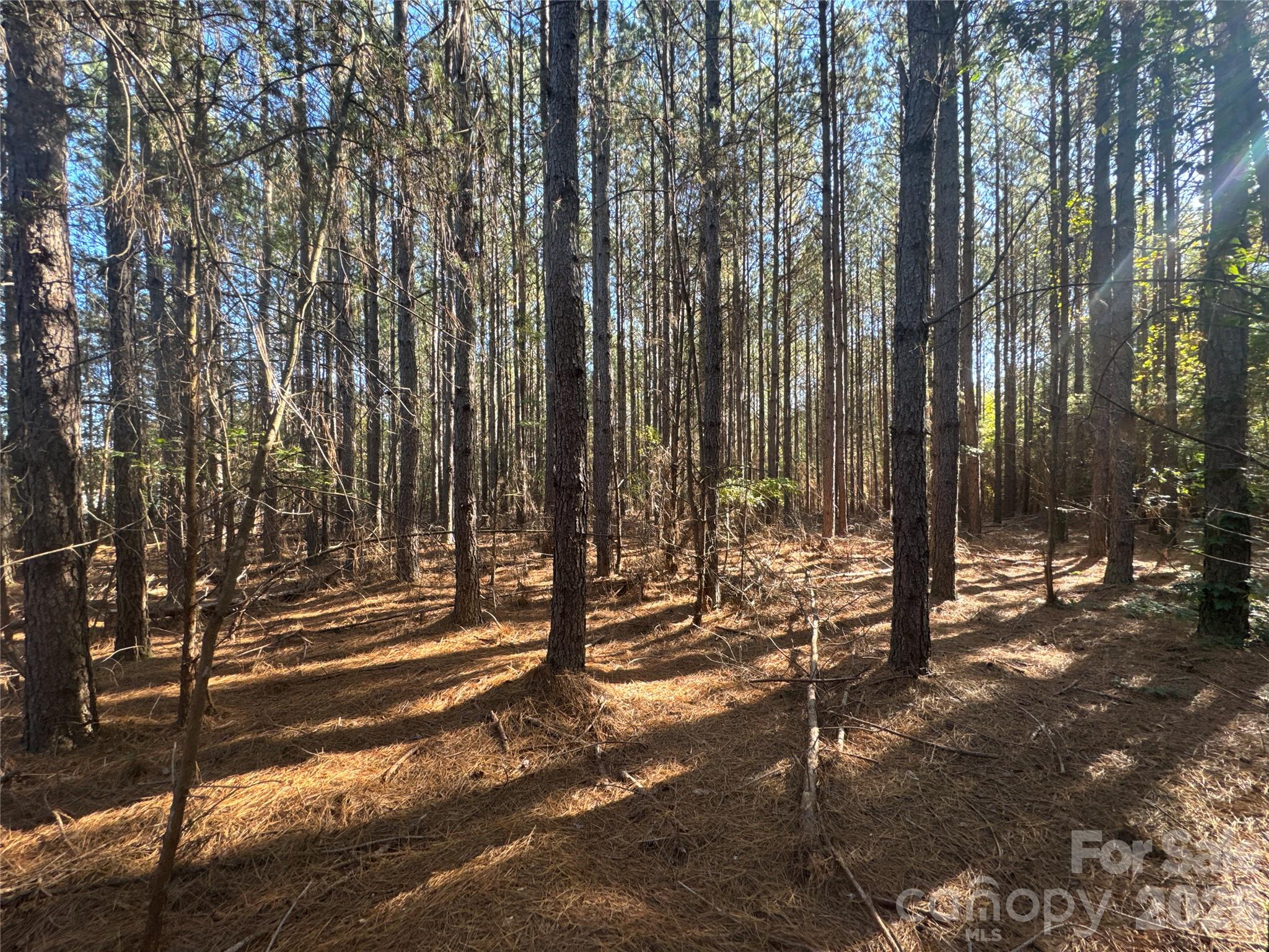 3515 Campfield Church Road Property Photo 9