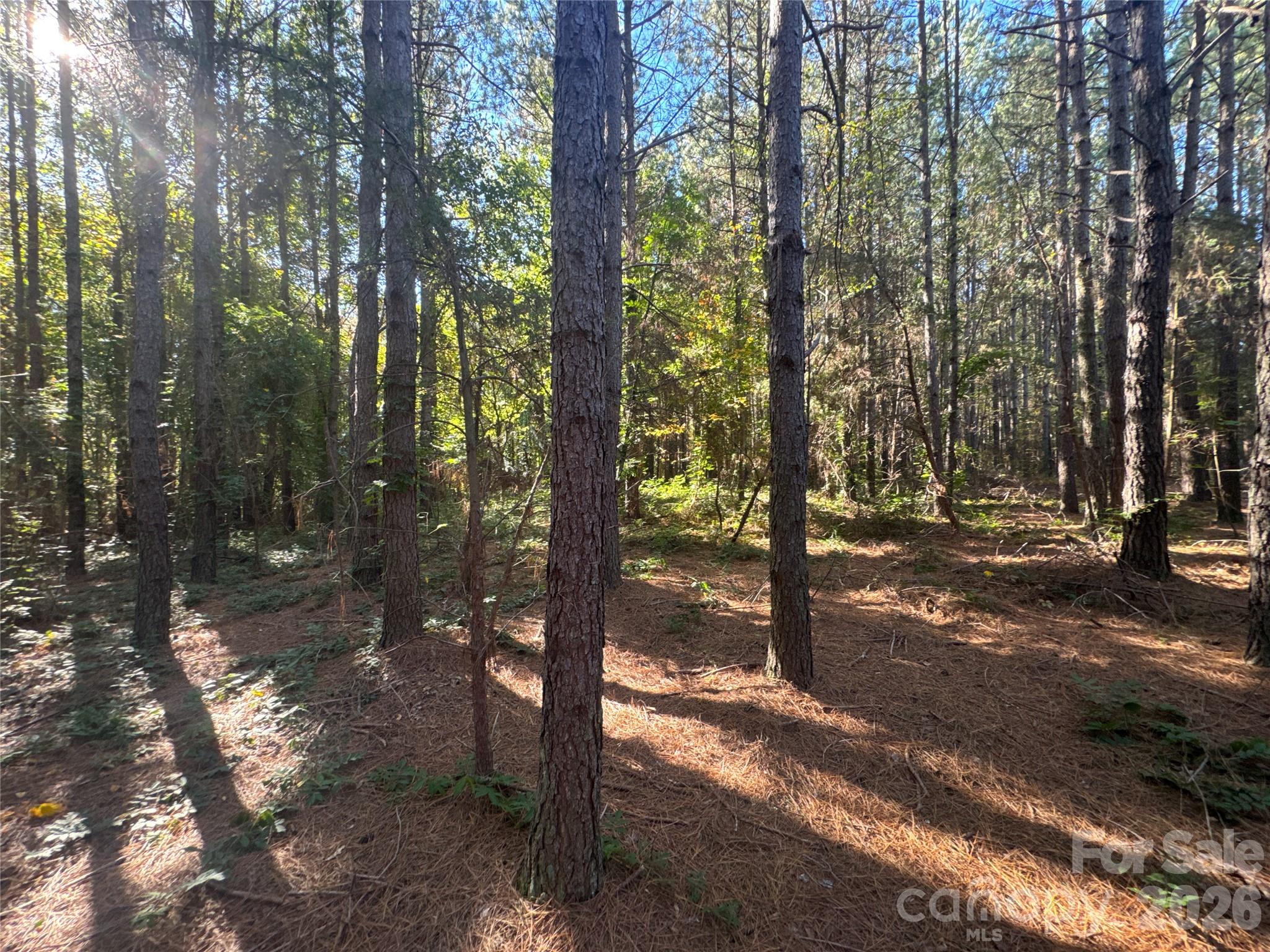 3515 Campfield Church Road Property Photo 10