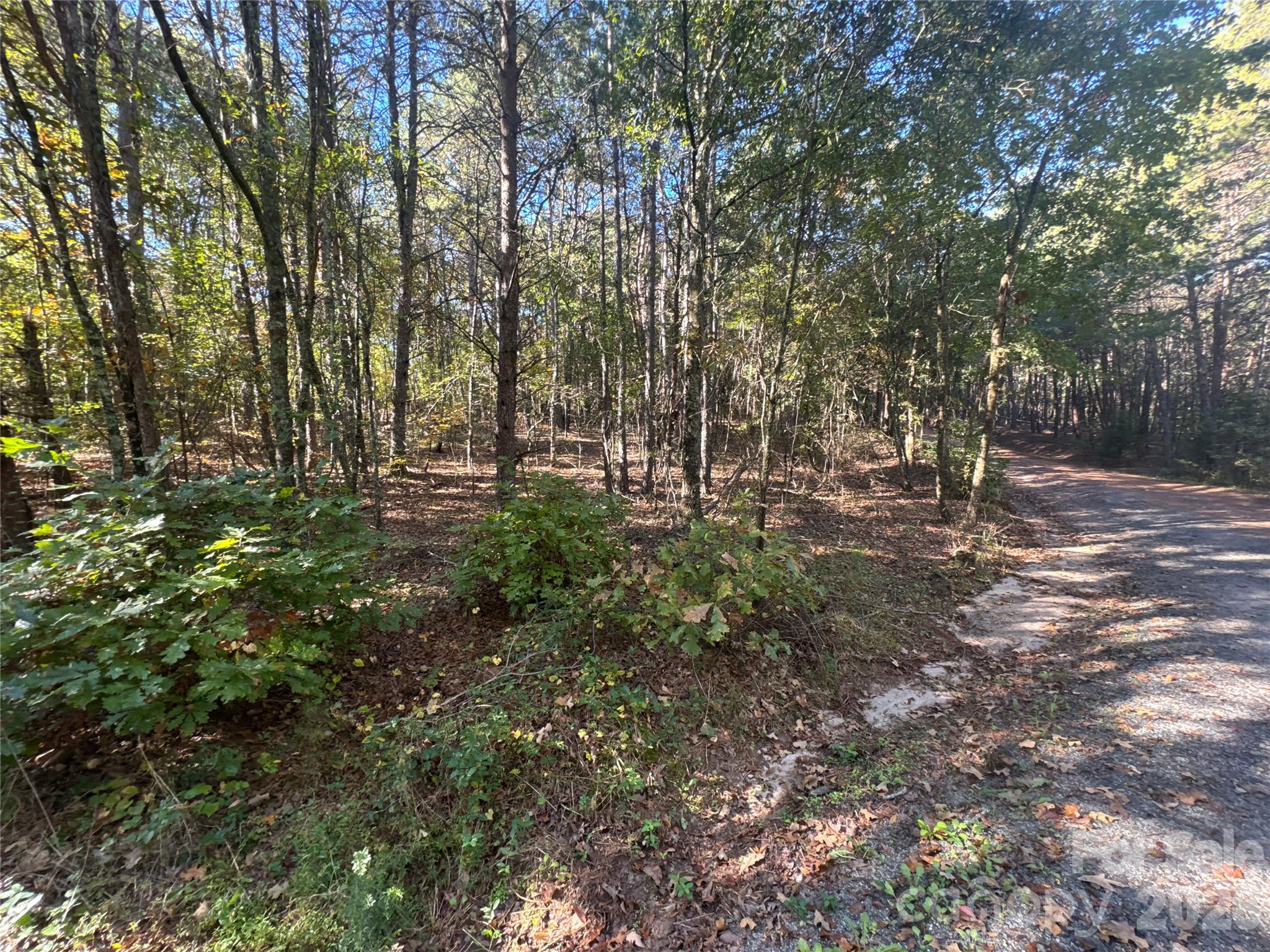 3515 Campfield Church Road Property Photo 15
