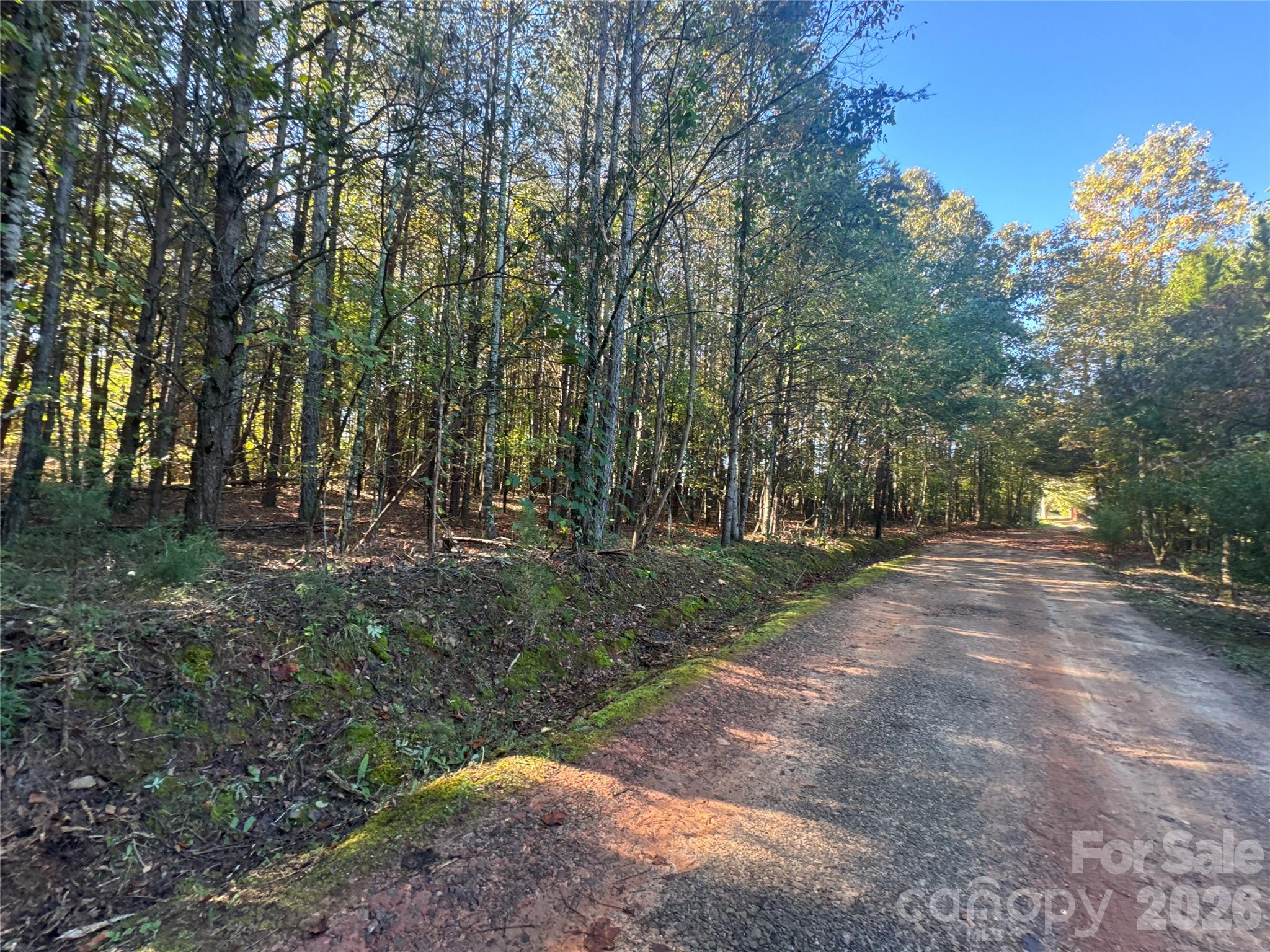 3515 Campfield Church Road Property Photo 16
