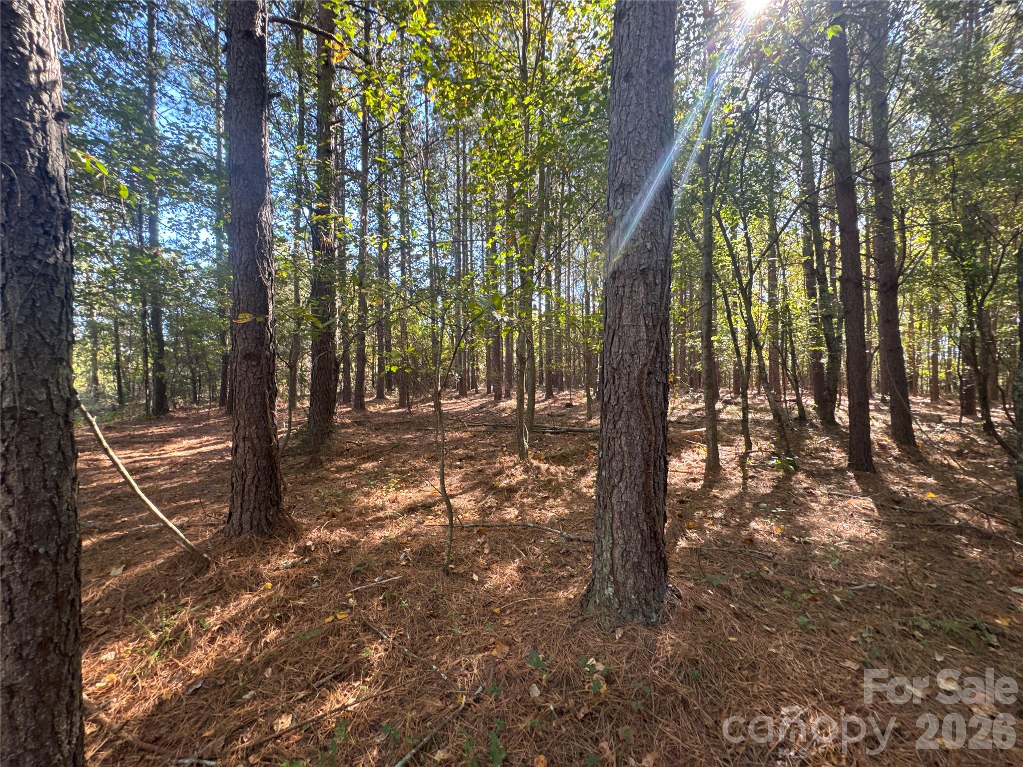 3515 Campfield Church Road Property Photo 17