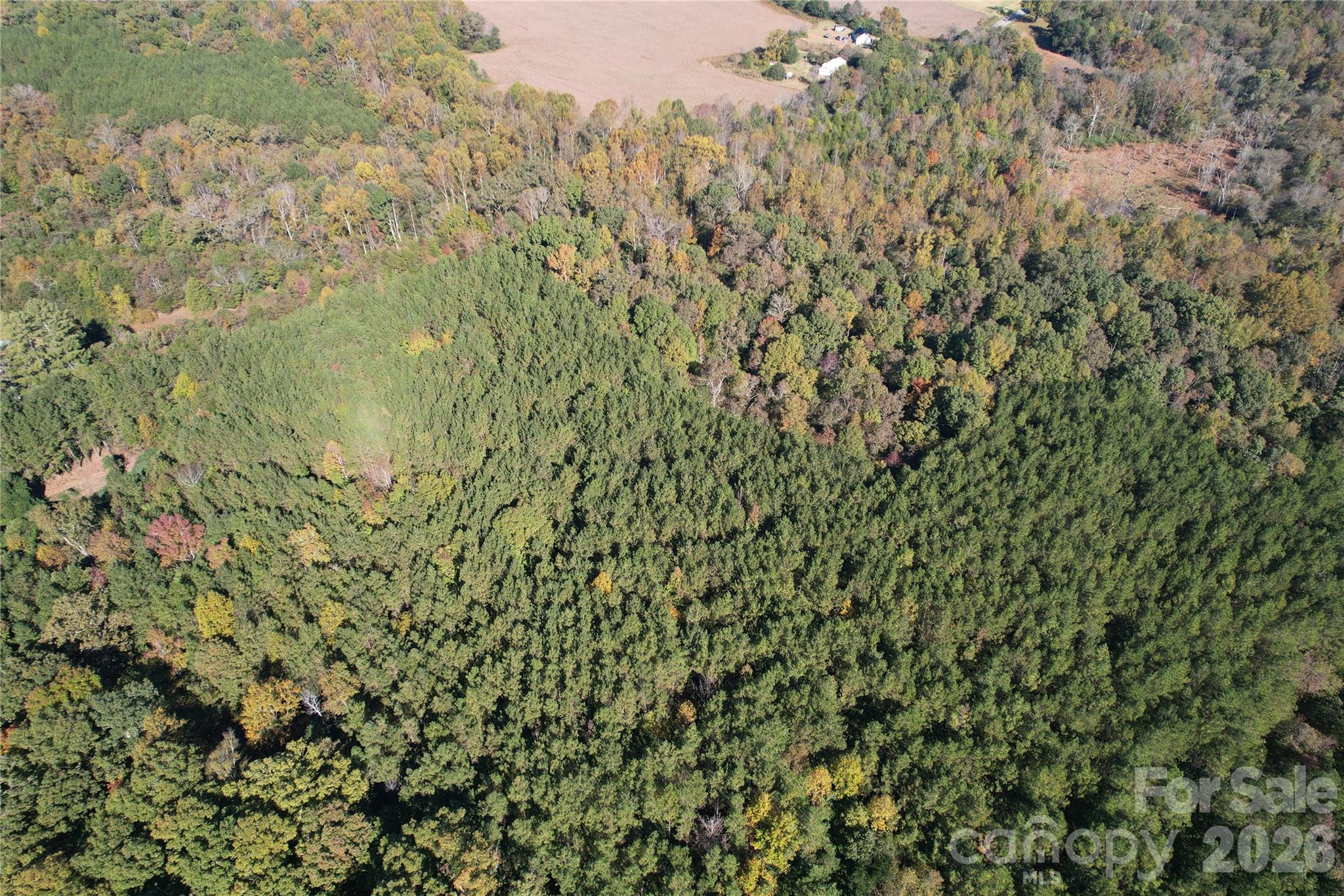 3515 Campfield Church Road Property Photo 20