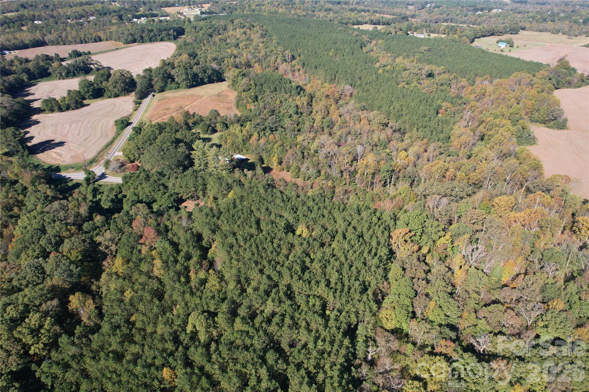 3515 Campfield Church Road Property Photo 21
