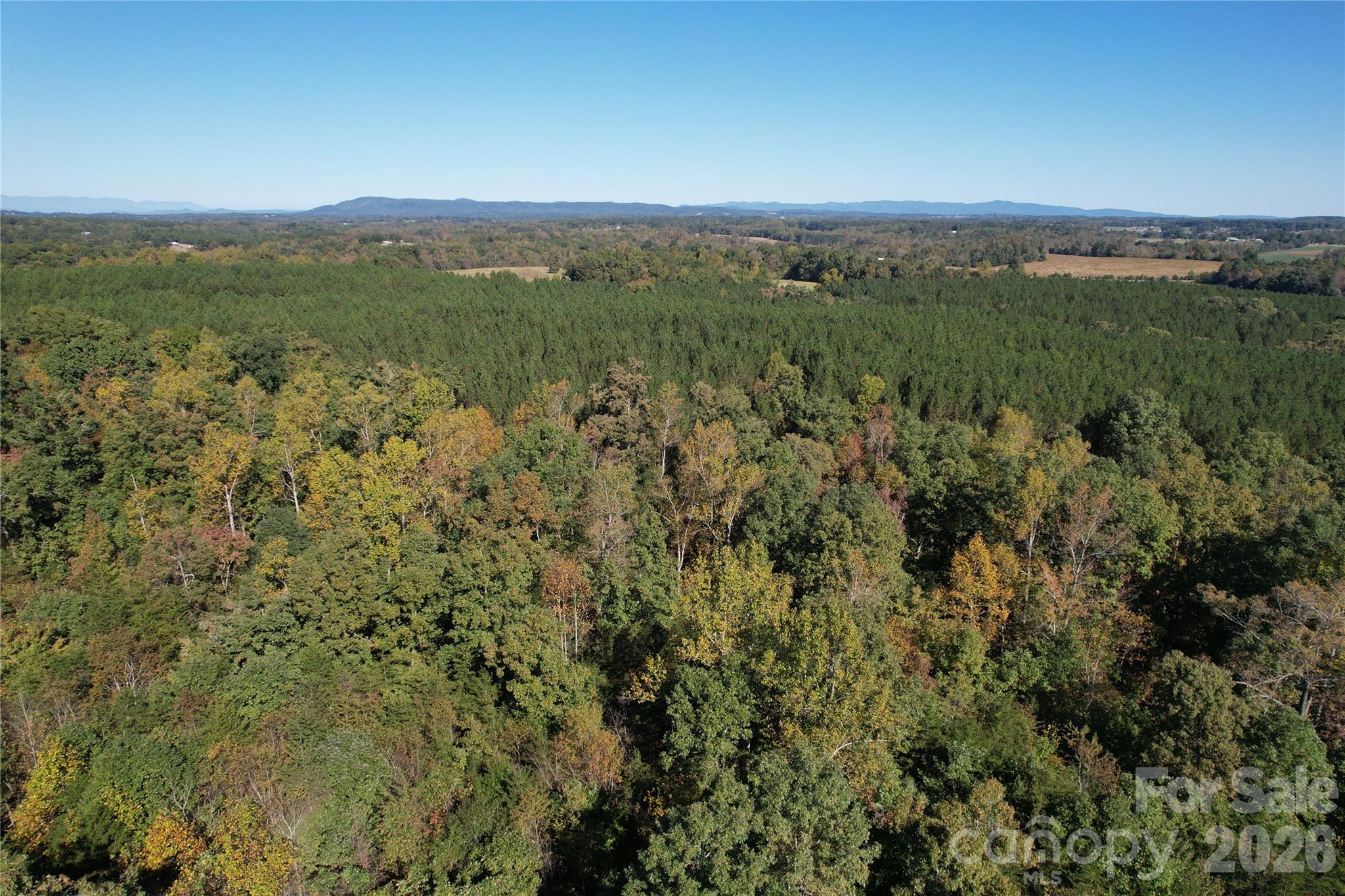 3515 Campfield Church Road Property Photo 23