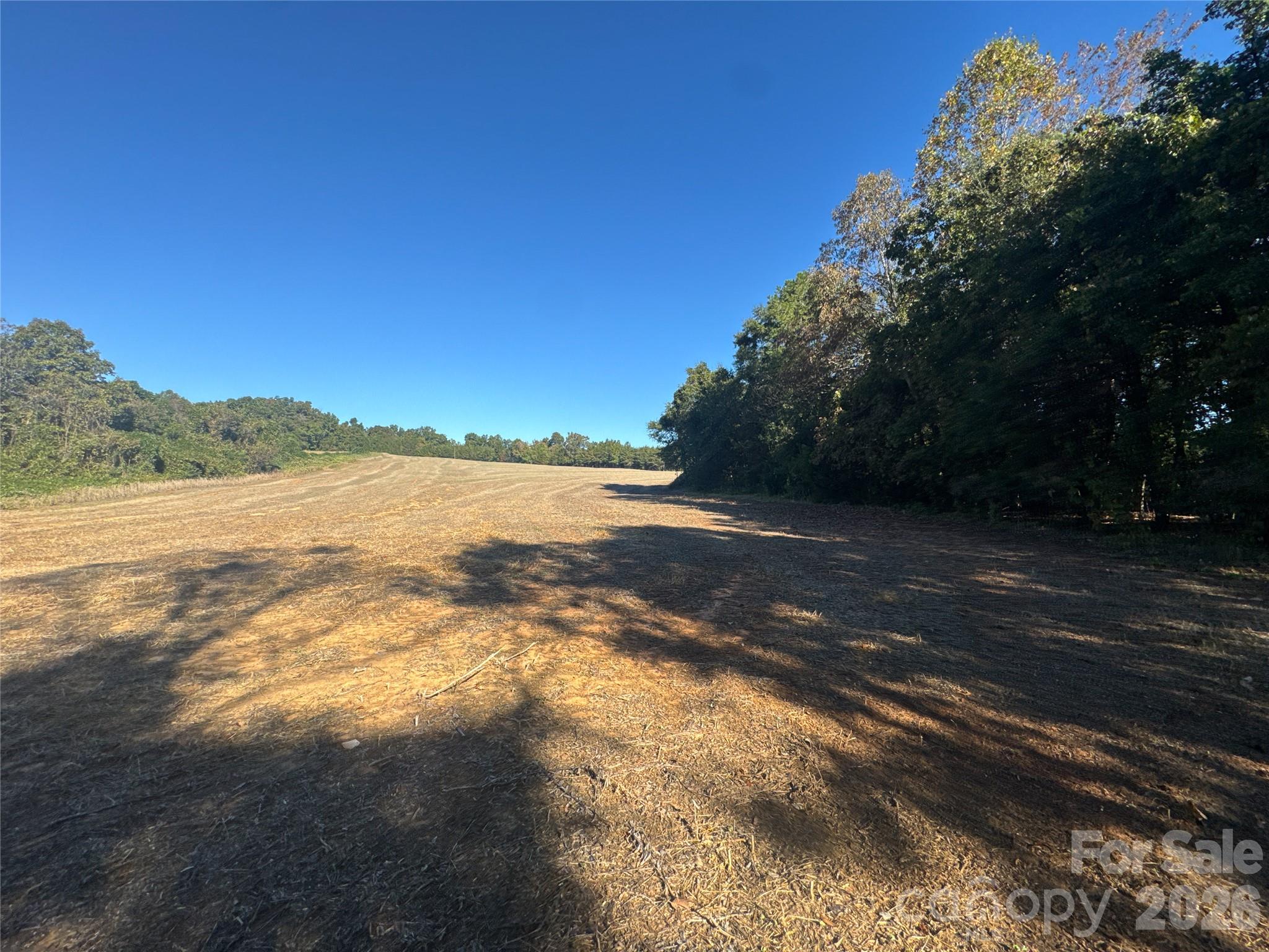 3515 Campfield Church Road Property Photo 33