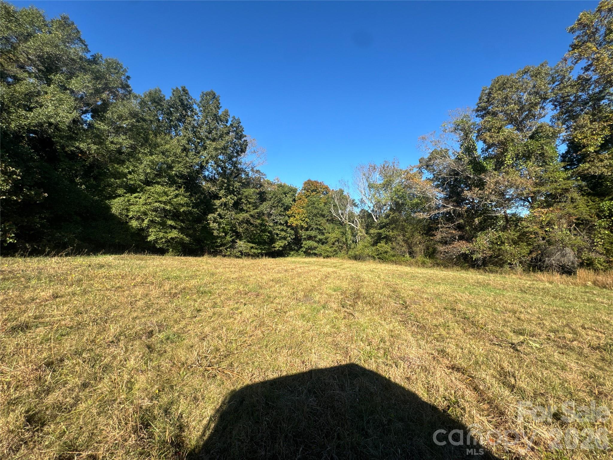 3515 Campfield Church Road Property Photo 39