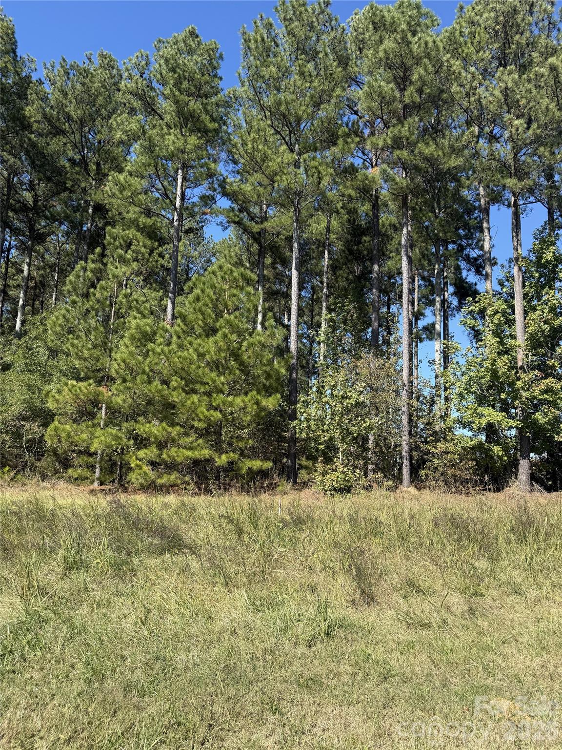 0 Lancaster Highway Property Photo 1