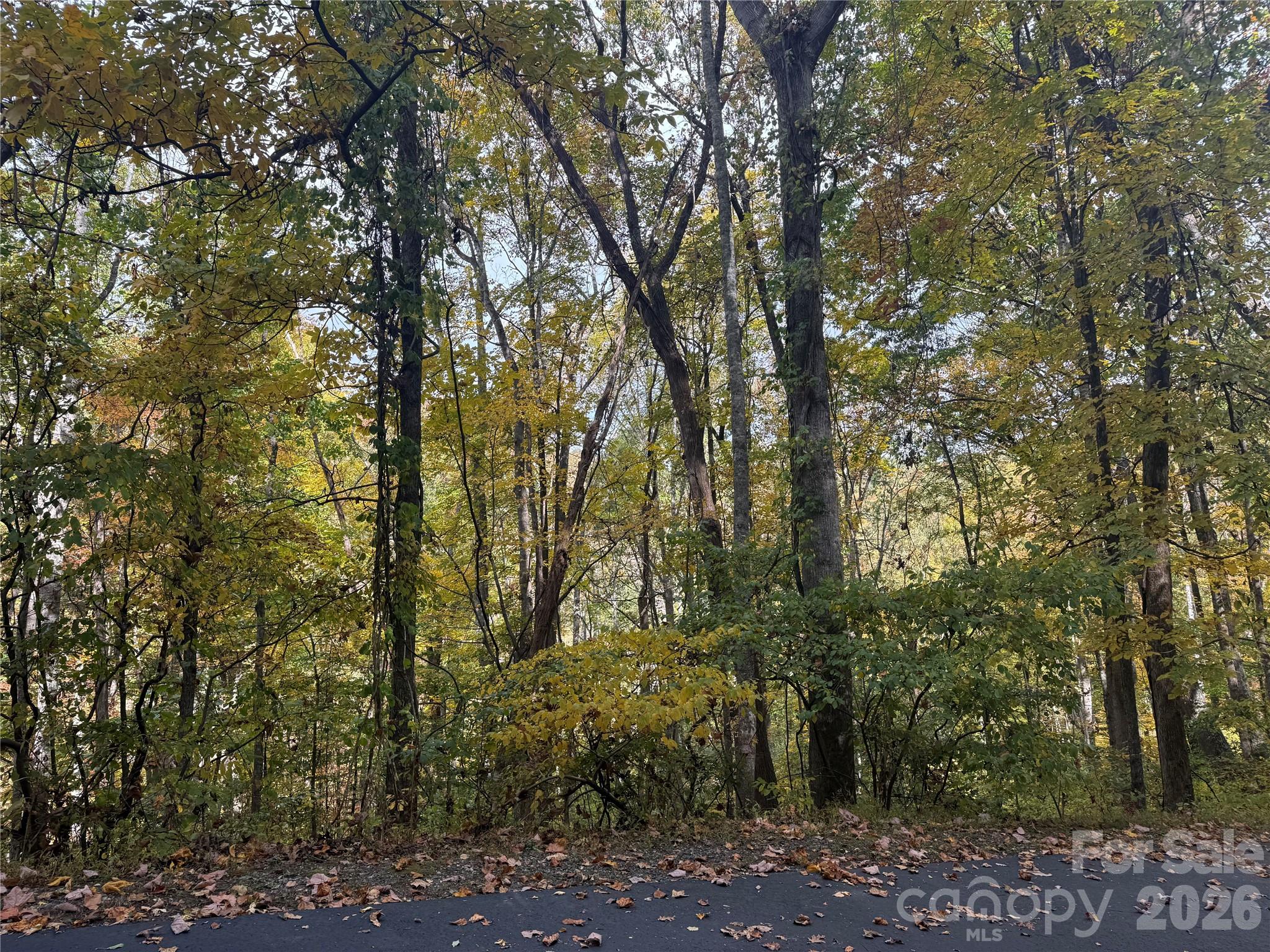 999 Whispering Woods Path Property Photo 1