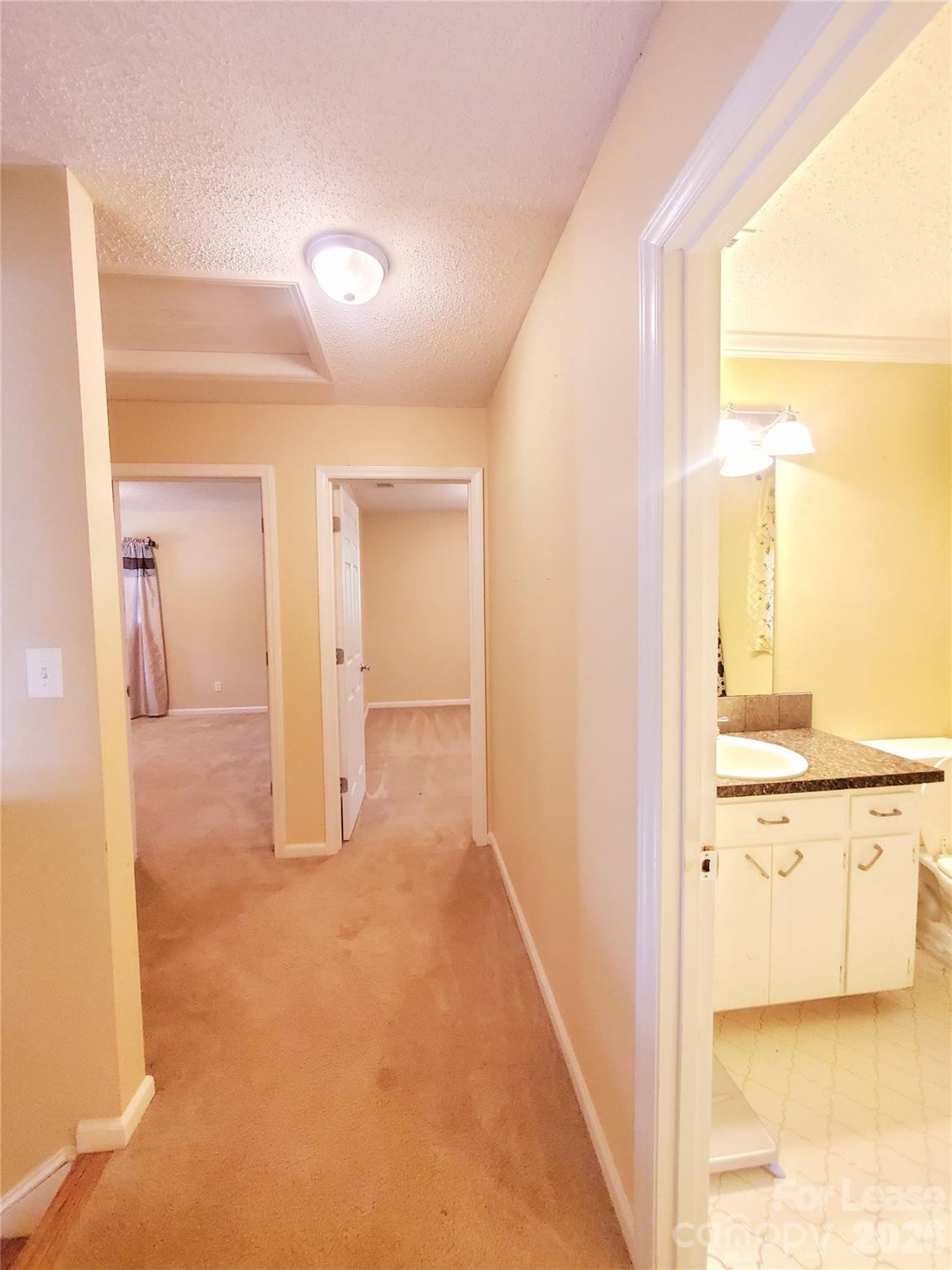 1403 Crescent Street Property Photo 20