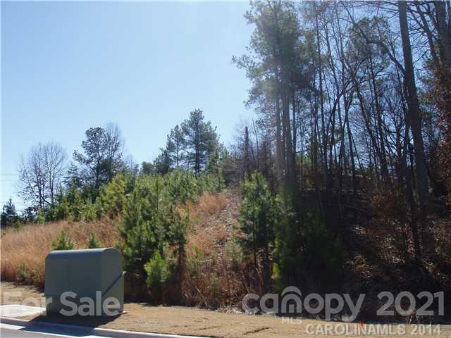 3114 Charlotte Highway Property Photo 1