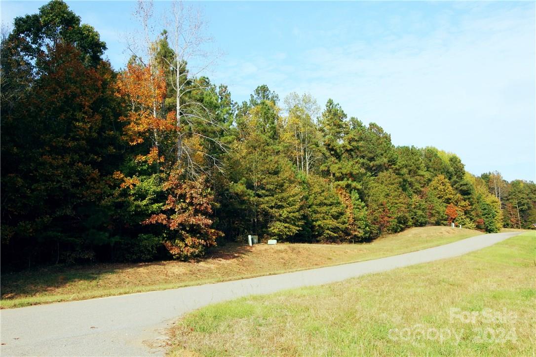 Lot 40 Briaridge Lane Property Photo 10