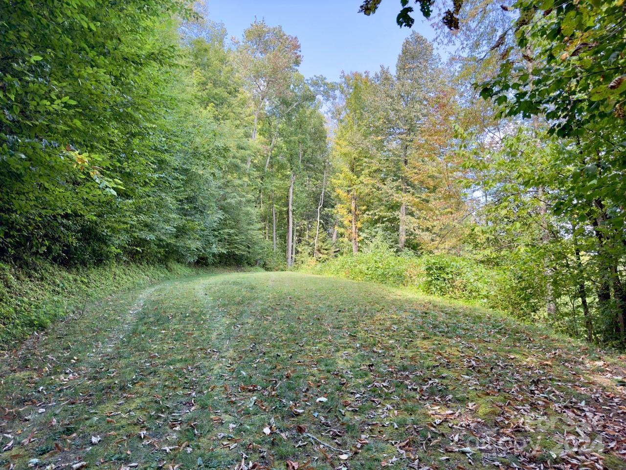 0000 Big Spring Trail 65 Property Photo 2