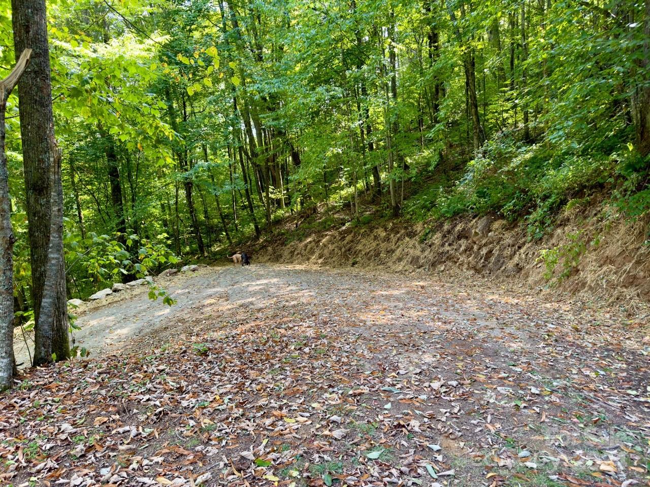 0000 Big Spring Trail 65 Property Photo 3