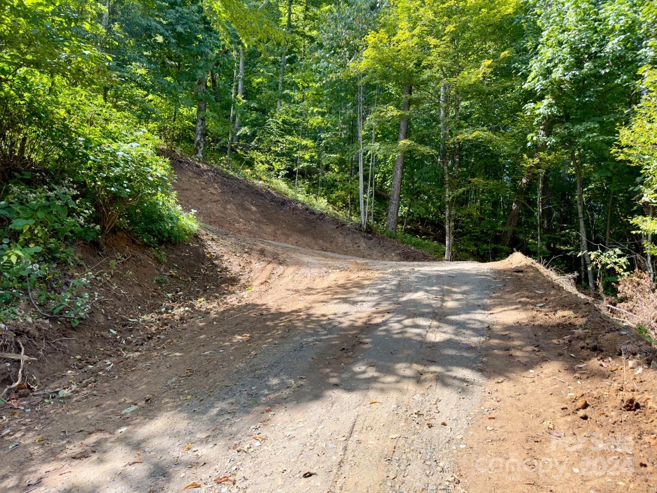 0000 Big Spring Trail 65 Property Photo 5