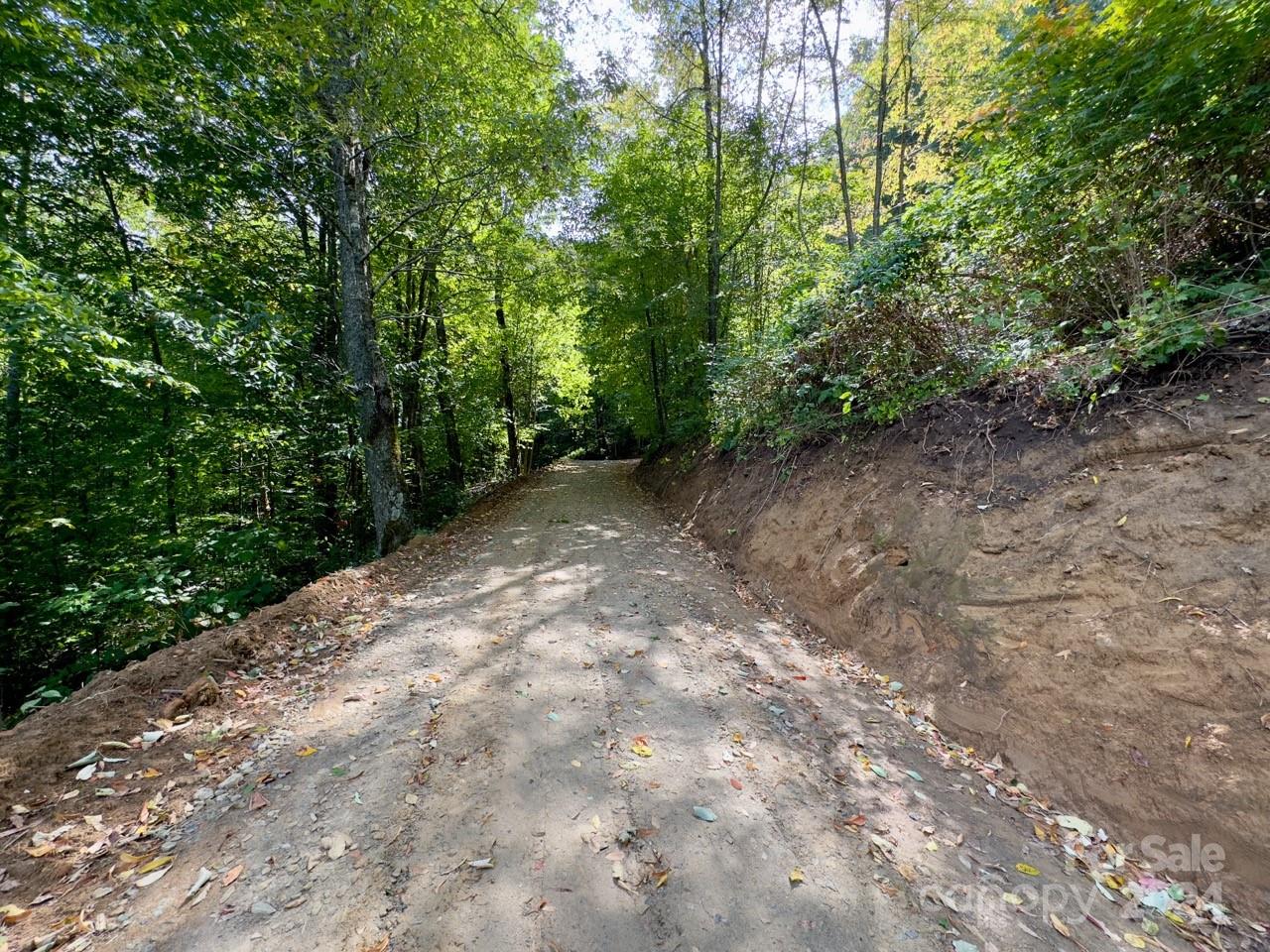 0000 Big Spring Trail 65 Property Photo 6