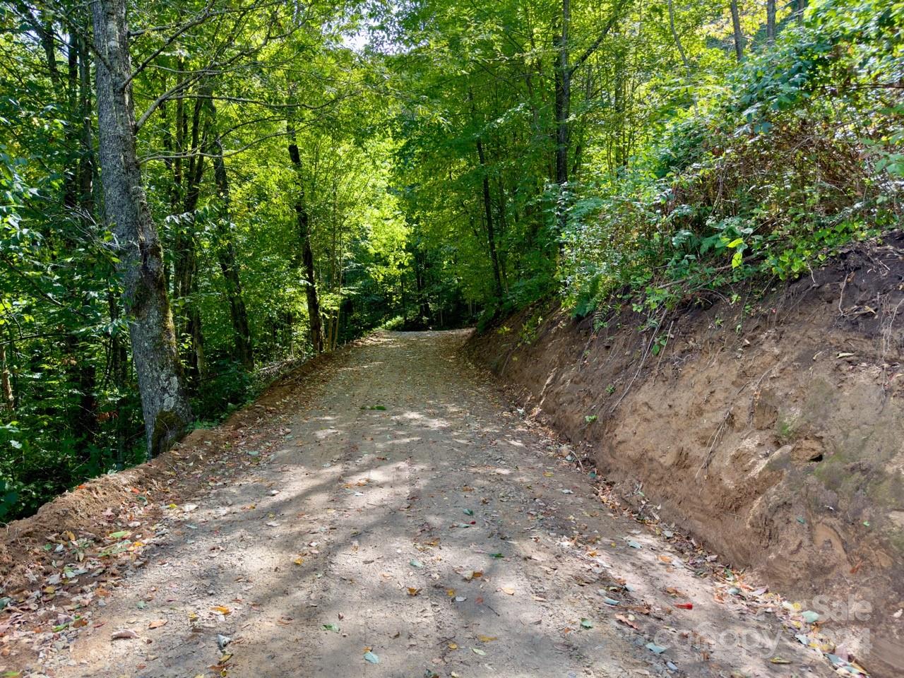 0000 Big Spring Trail 65 Property Photo 7