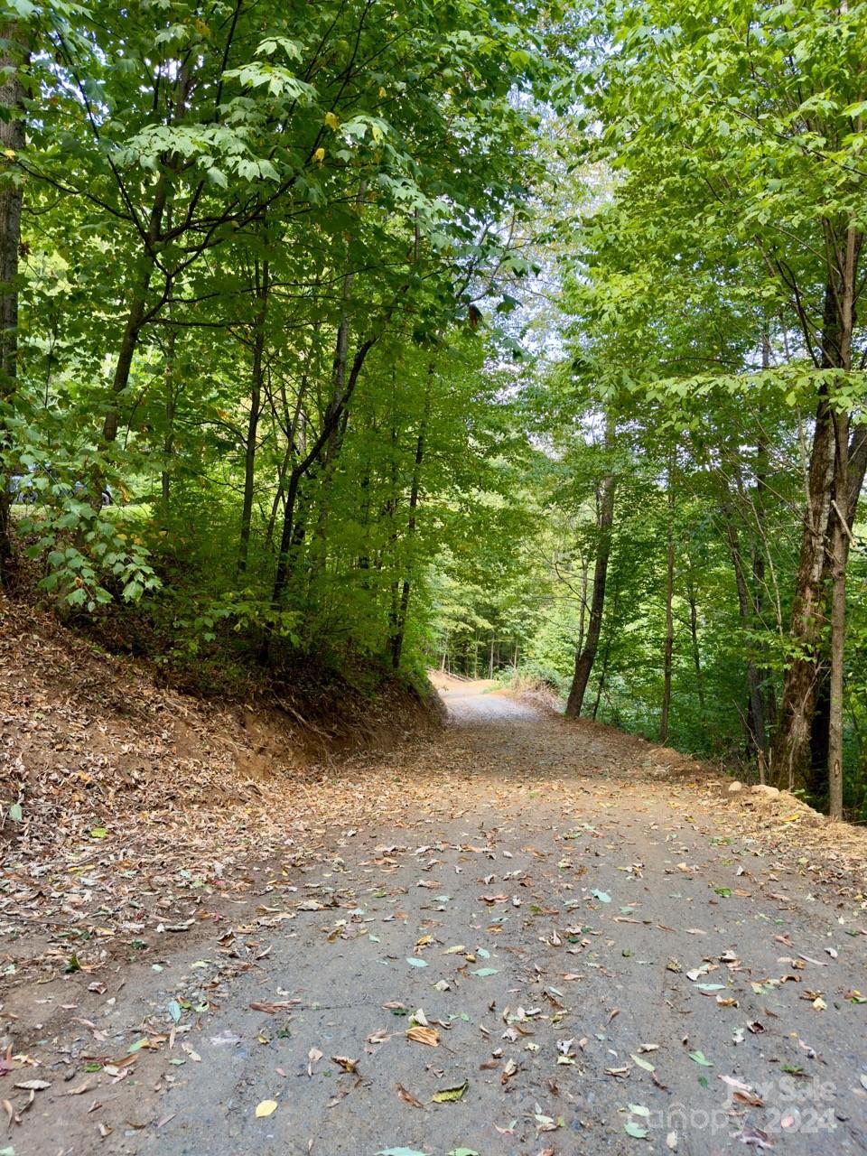 0000 Big Spring Trail 65 Property Photo 8