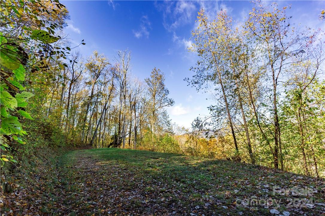0000 Big Spring Trail 65 Property Photo 10